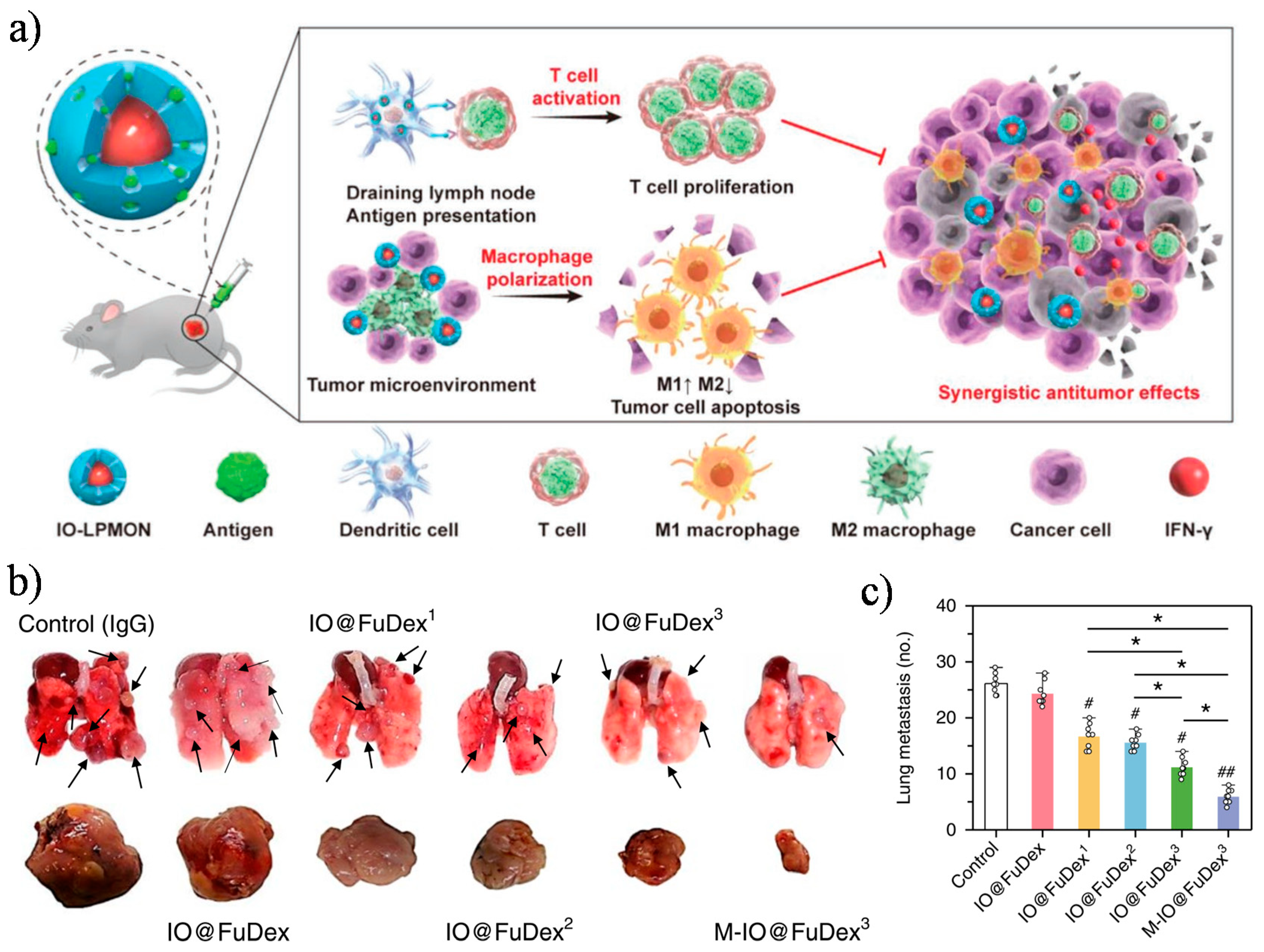 Cancers 13 02735 g007