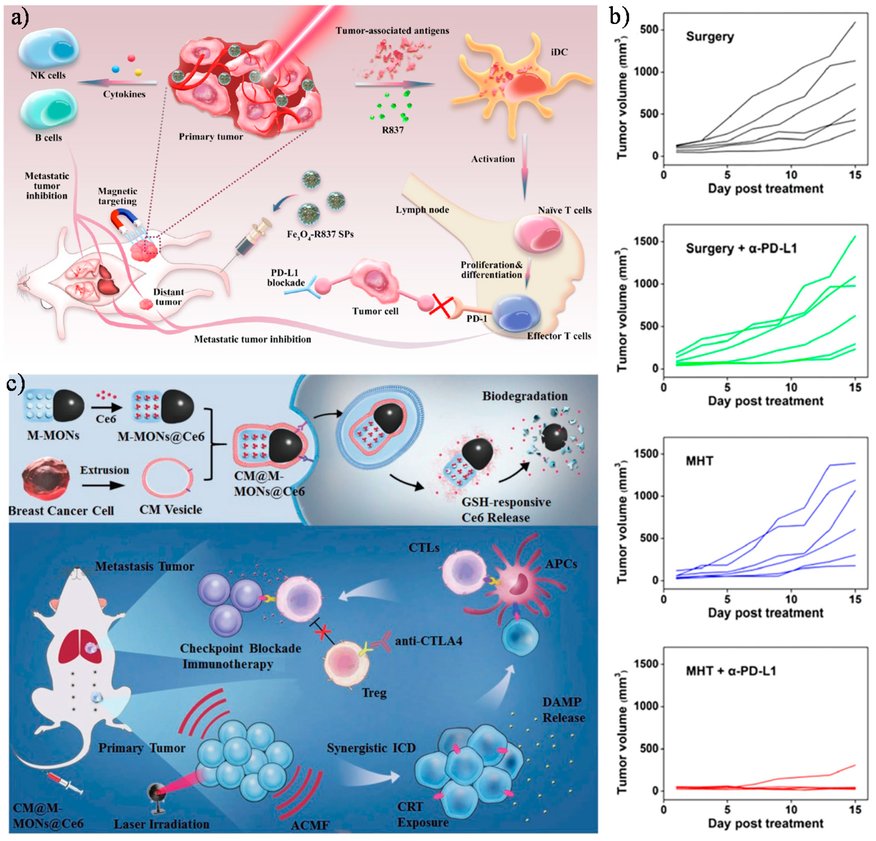Cancers 13 02735 g008