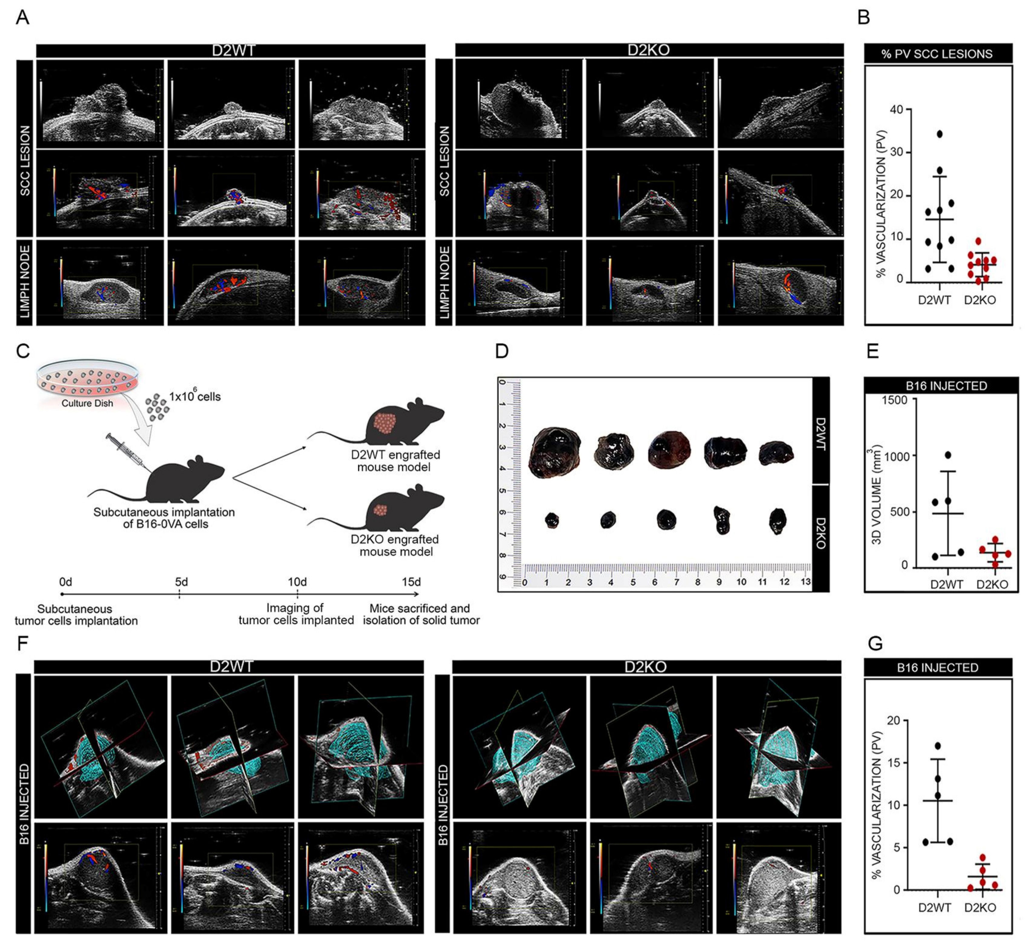 Cancers 13 02743 g003 Cancers 13 02743 g003