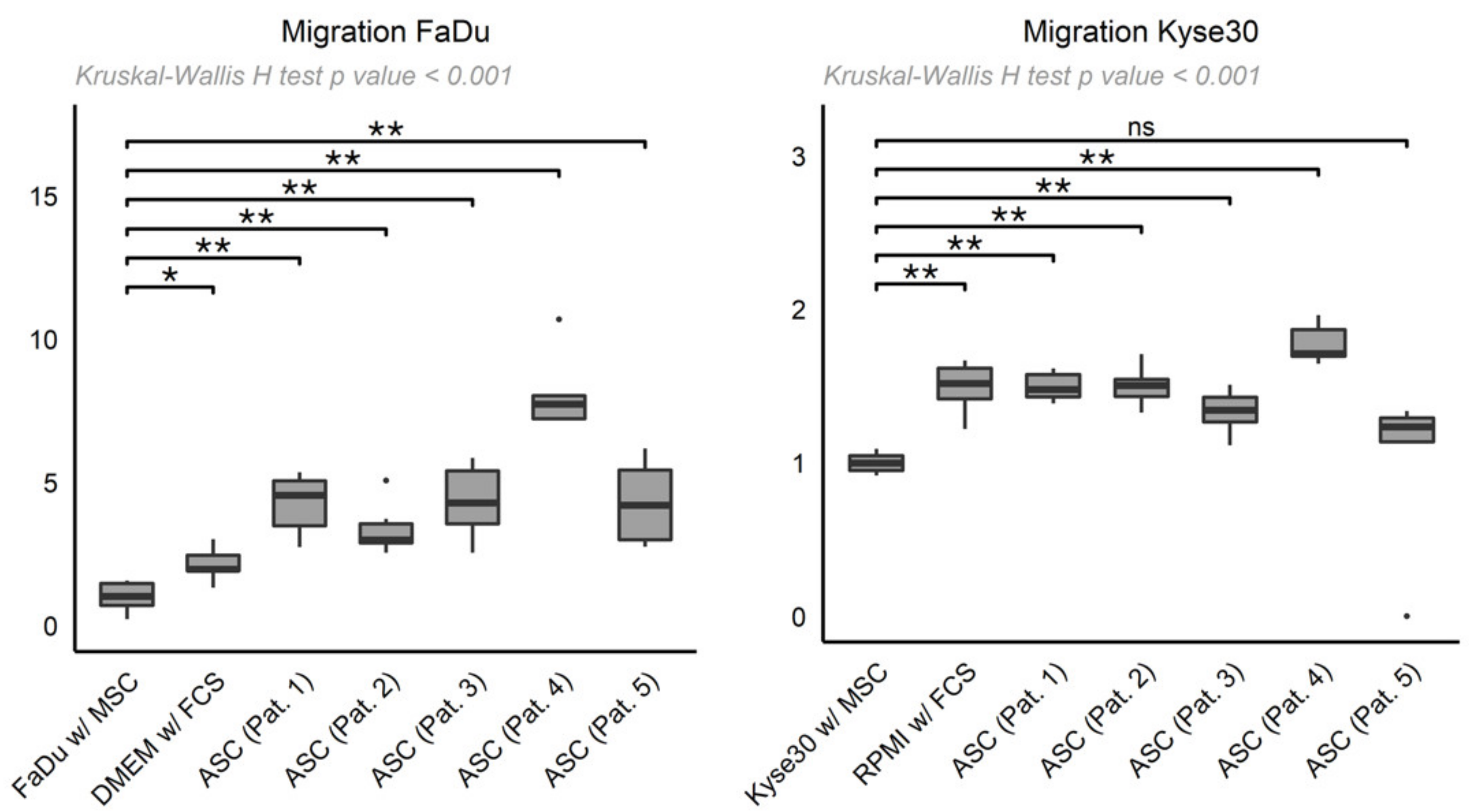 Cancers 13 02751 g003 Cancers 13 02751 g003