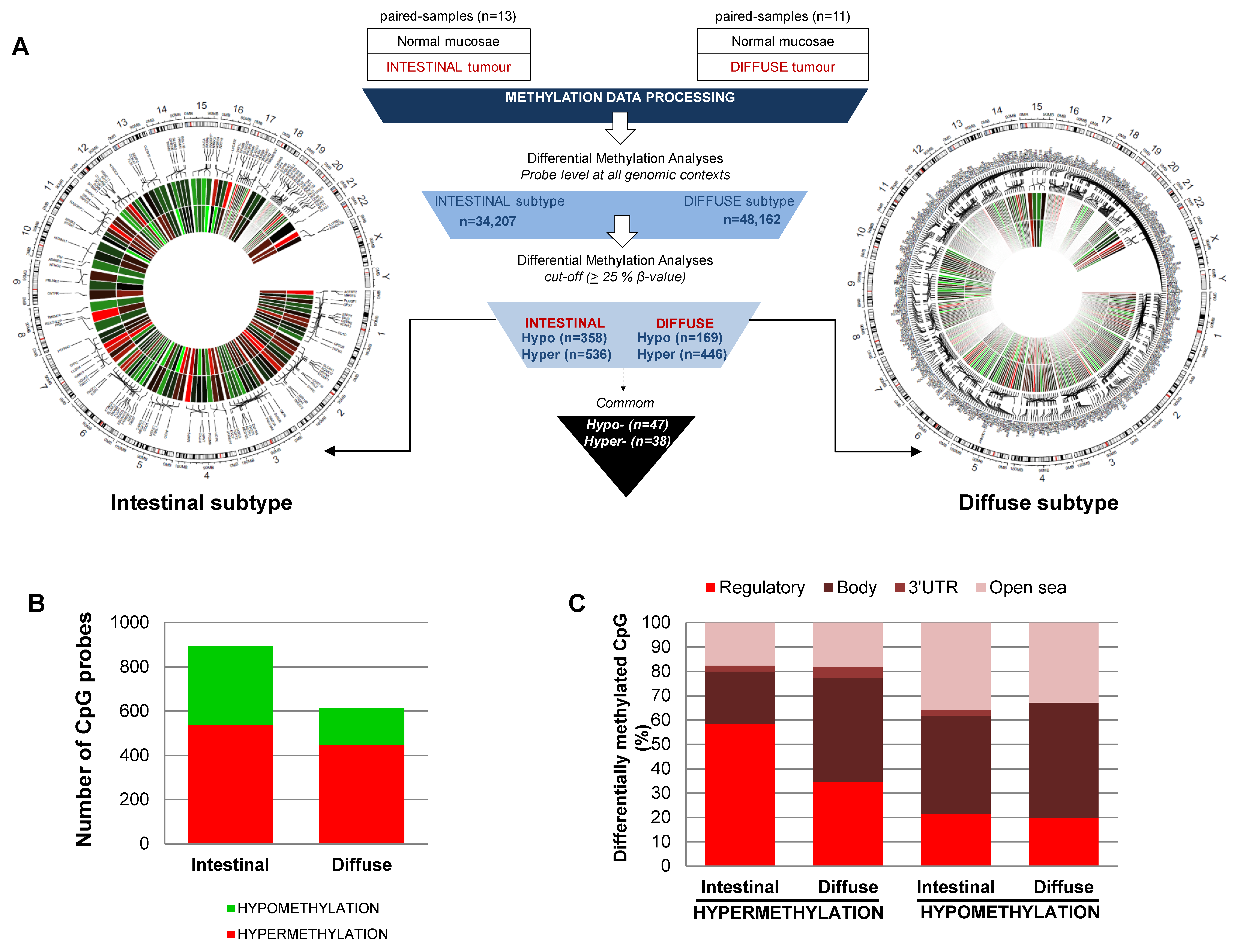 Cancers 13 02760 g001 Cancers 13 02760 g001