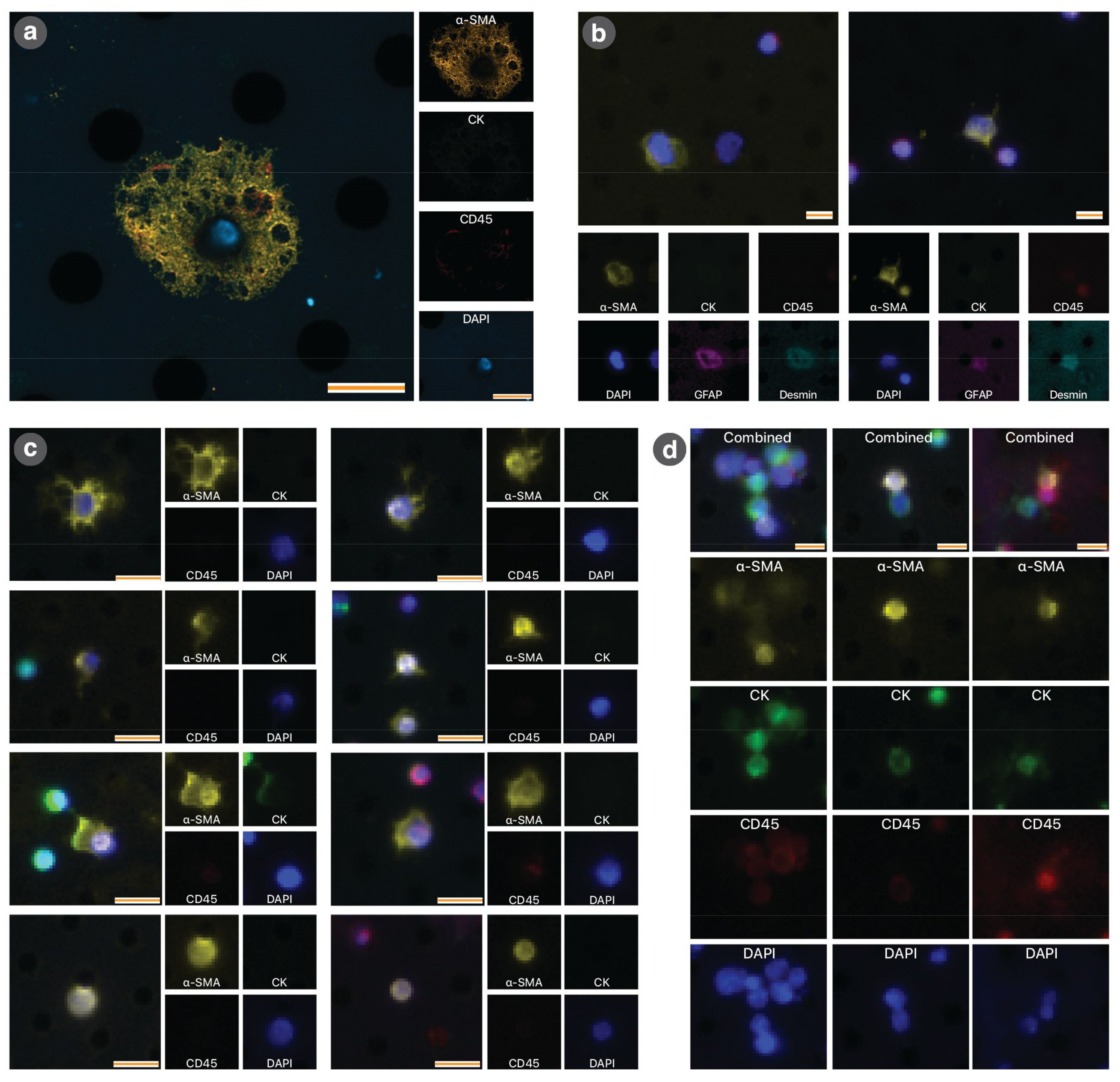 Cancers 13 02763 g003 Cancers 13 02763 g003