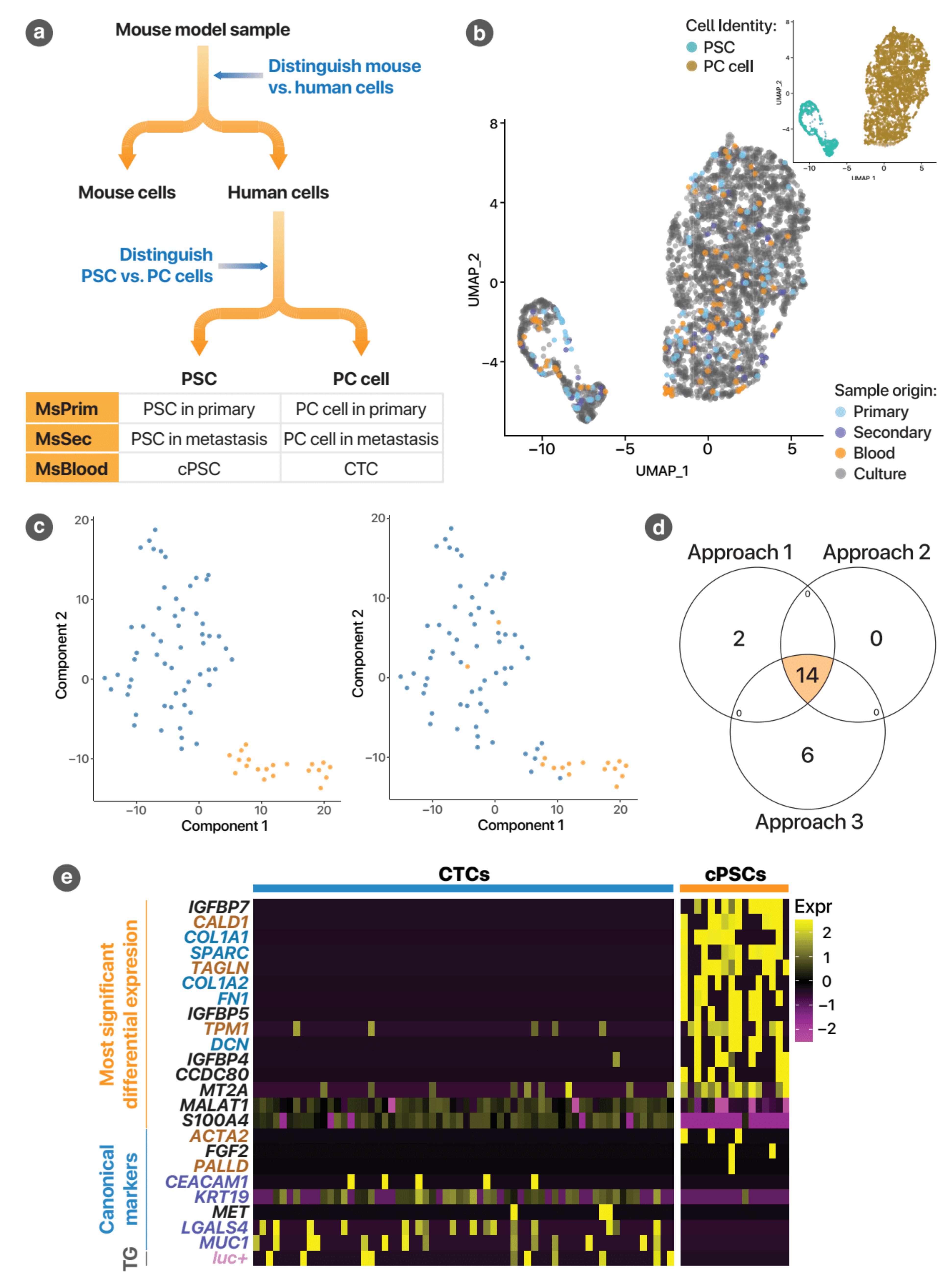 Cancers 13 02763 g005 Cancers 13 02763 g005