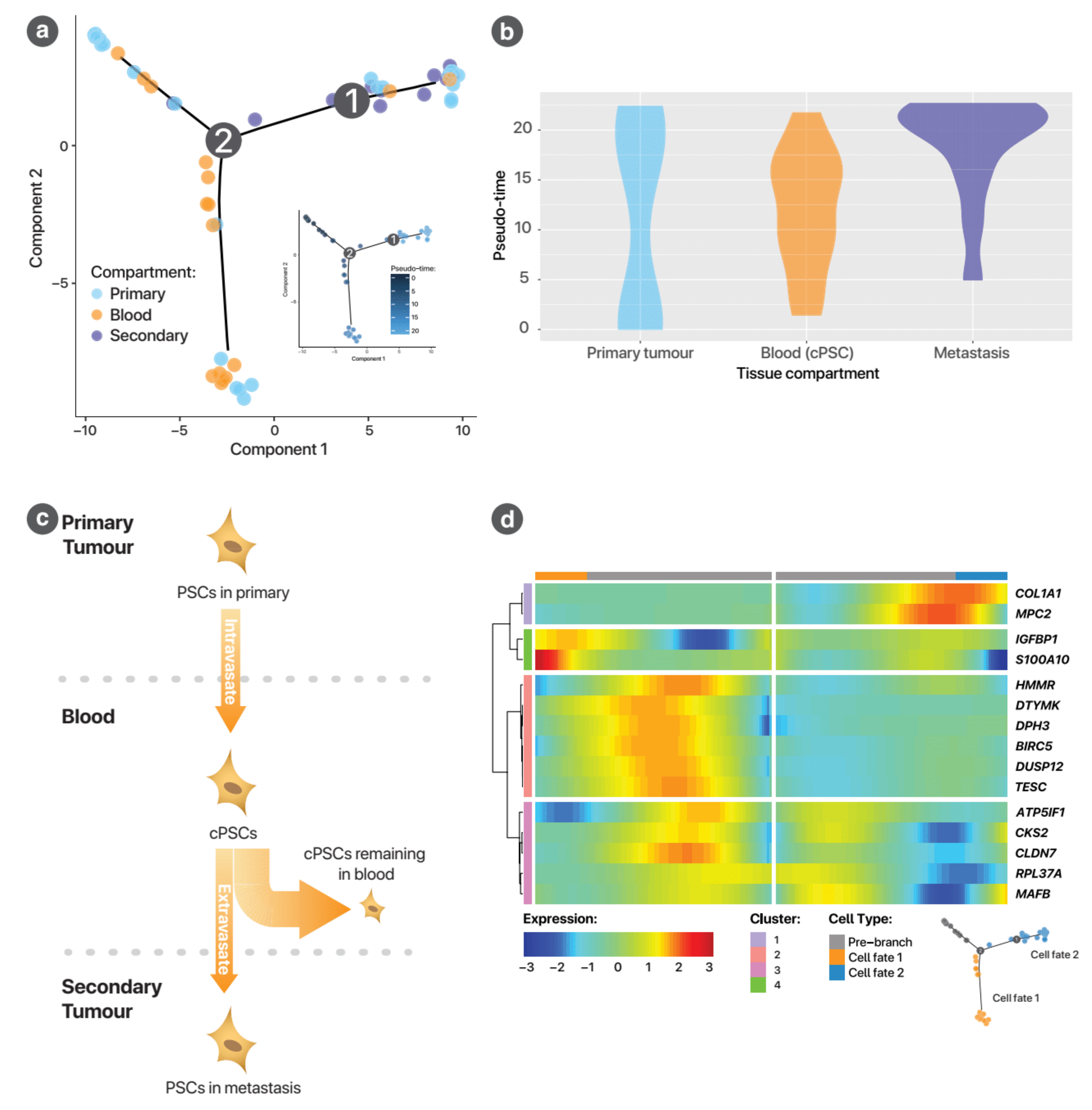 Cancers 13 02763 g006 Cancers 13 02763 g006