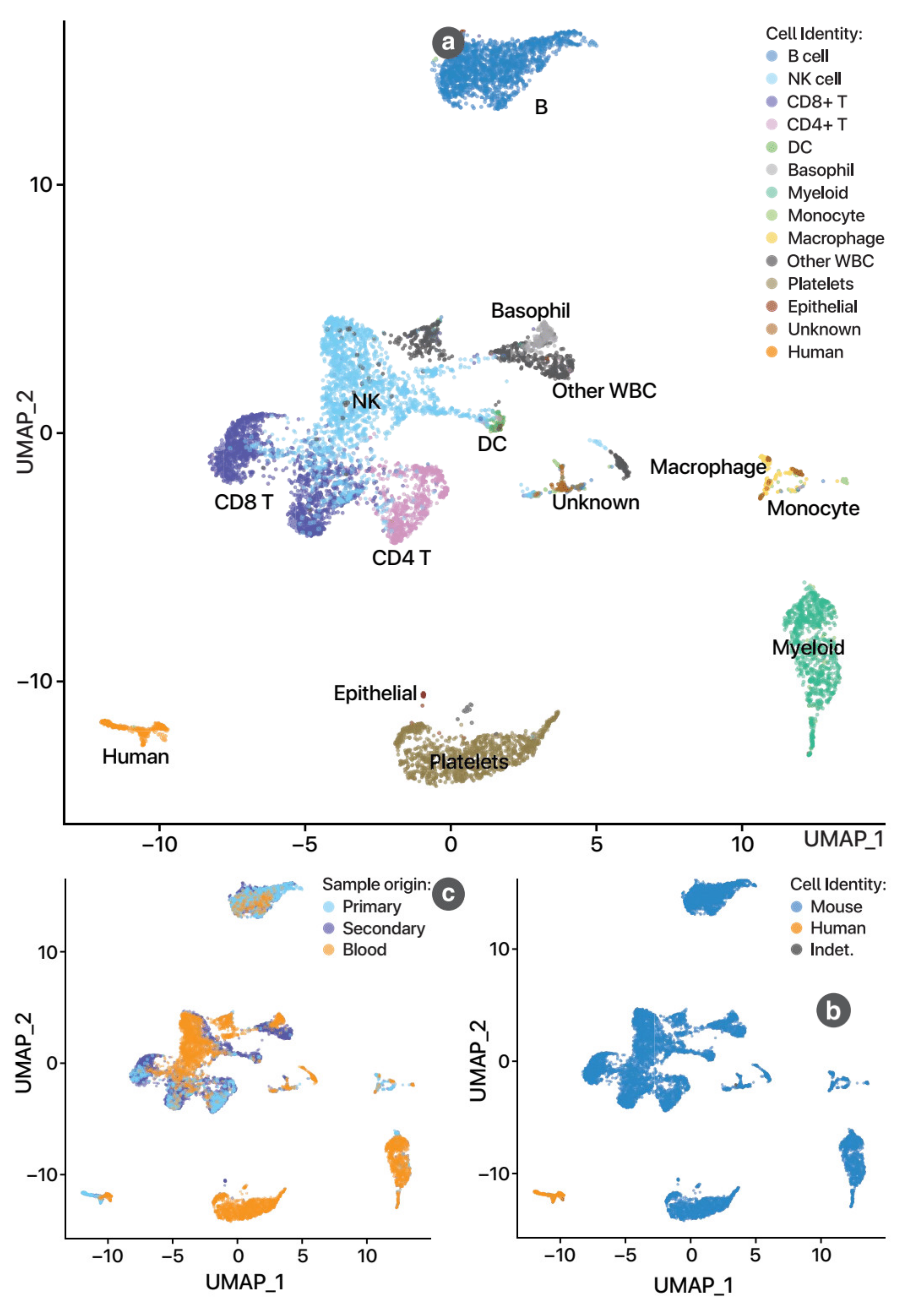 Cancers 13 02763 g0a10 Cancers 13 02763 g0a10