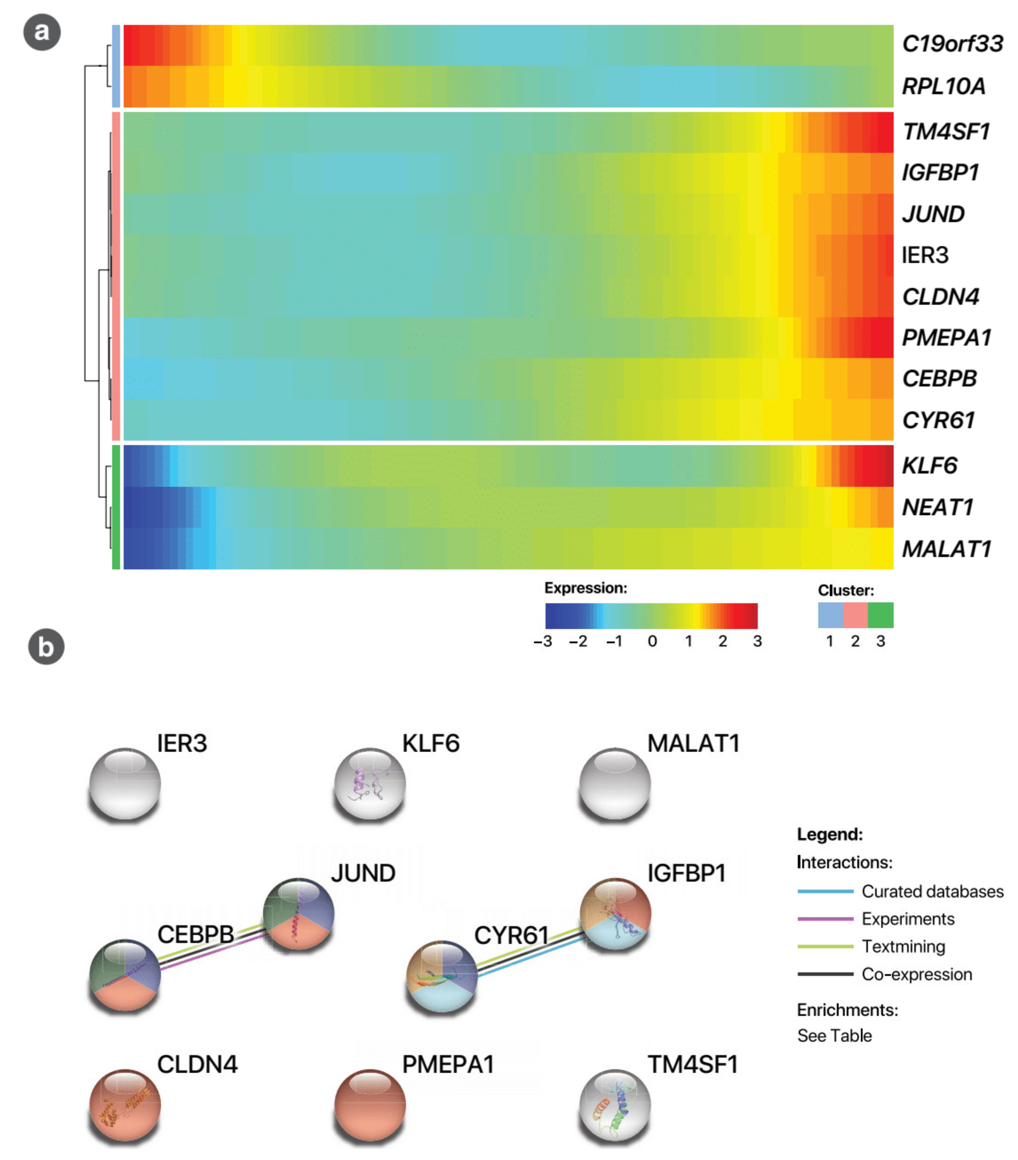 Cancers 13 02763 g0a12 Cancers 13 02763 g0a12