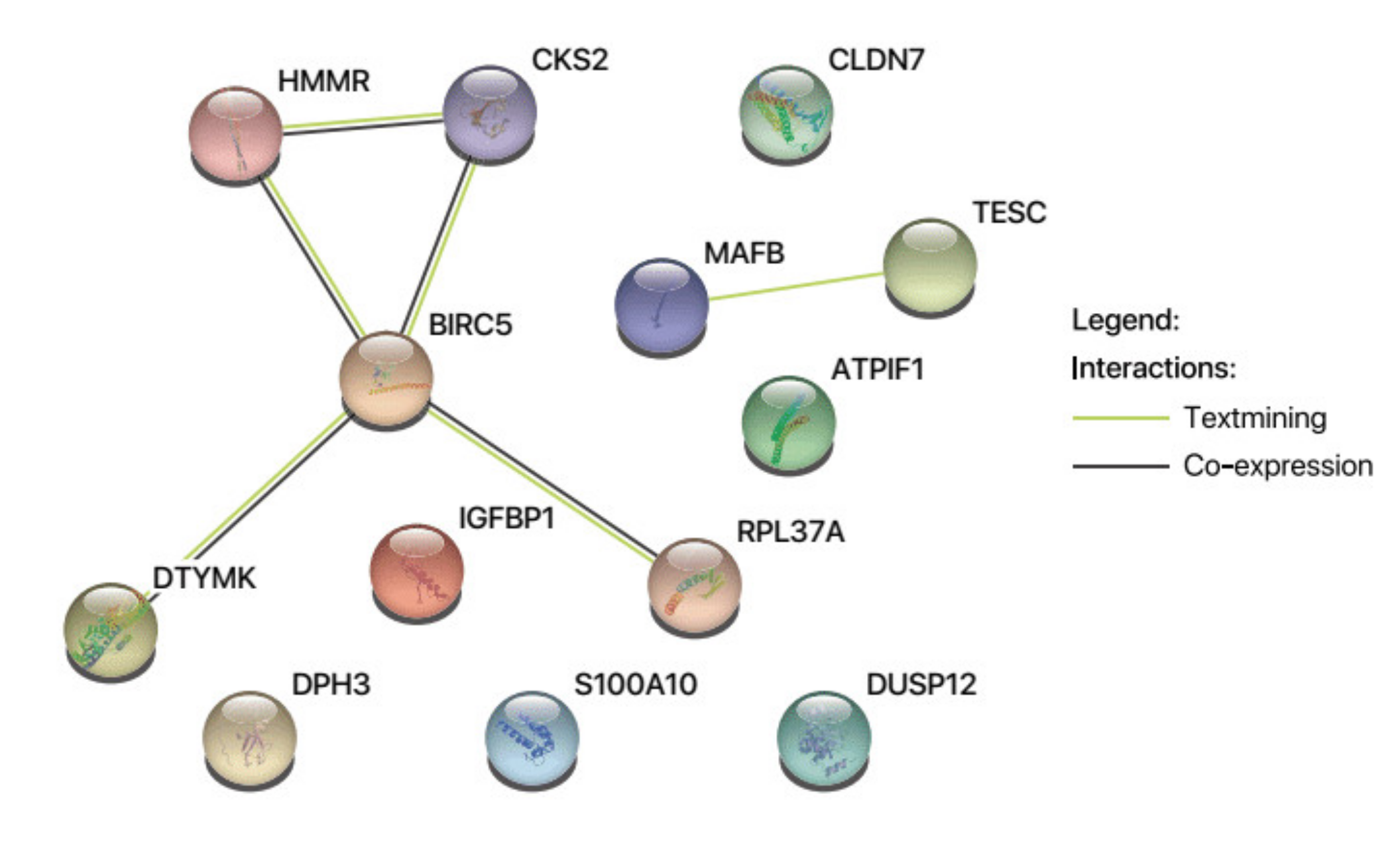 Cancers 13 02763 g0a13 Cancers 13 02763 g0a13