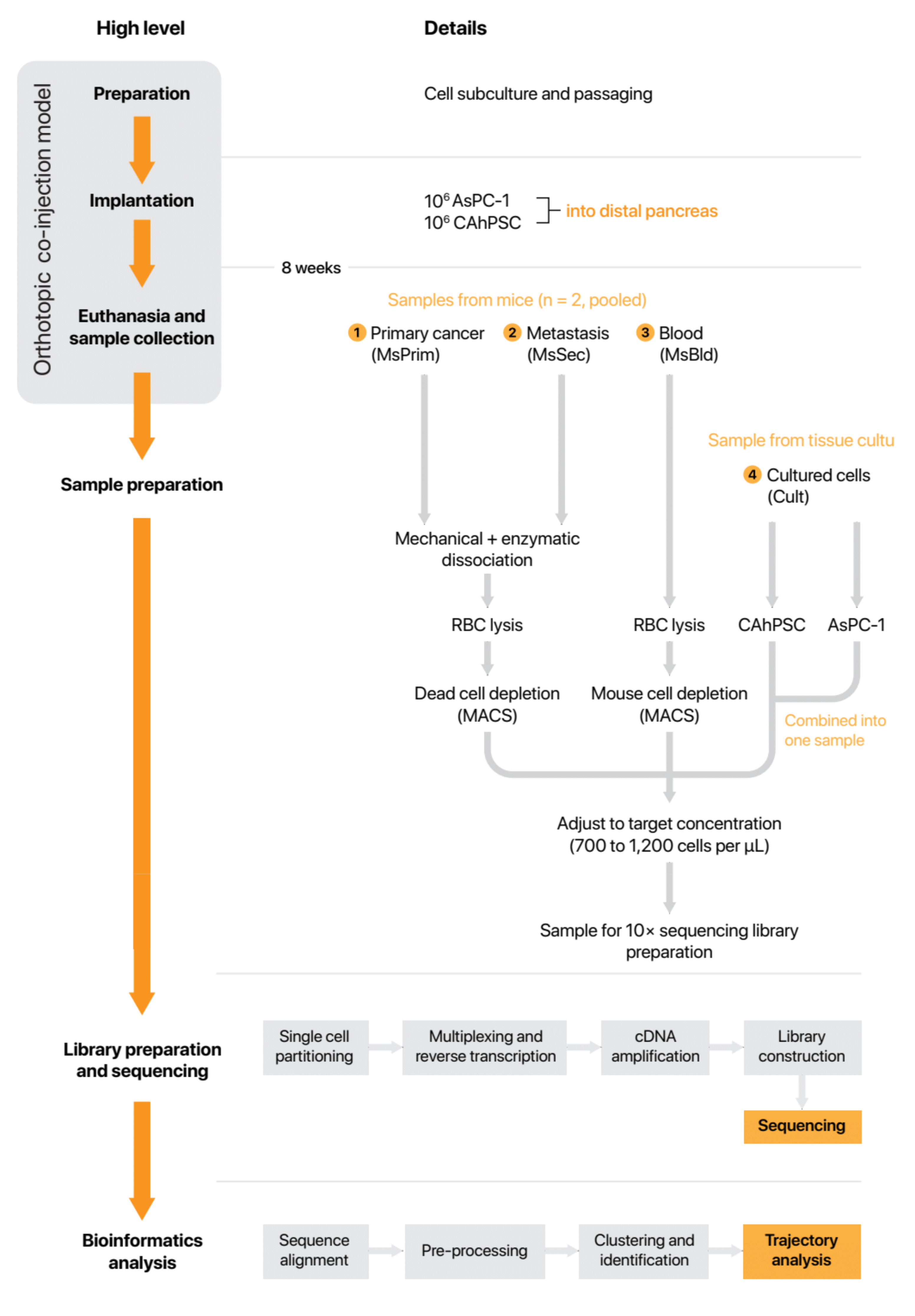 Cancers 13 02763 g0a2 Cancers 13 02763 g0a2