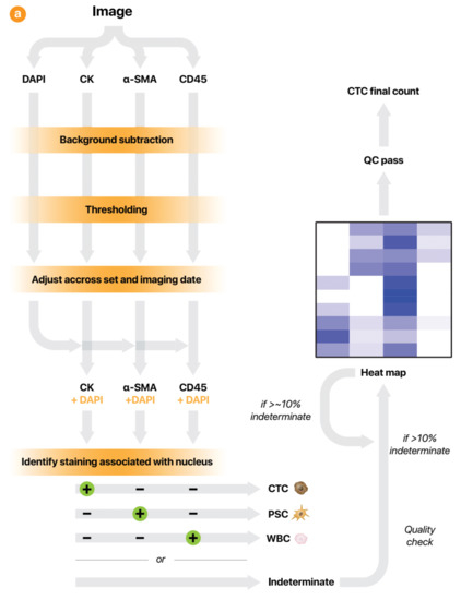 HGF/c-Met Inhibition as Adjuvant Therapy Improves Outcomes