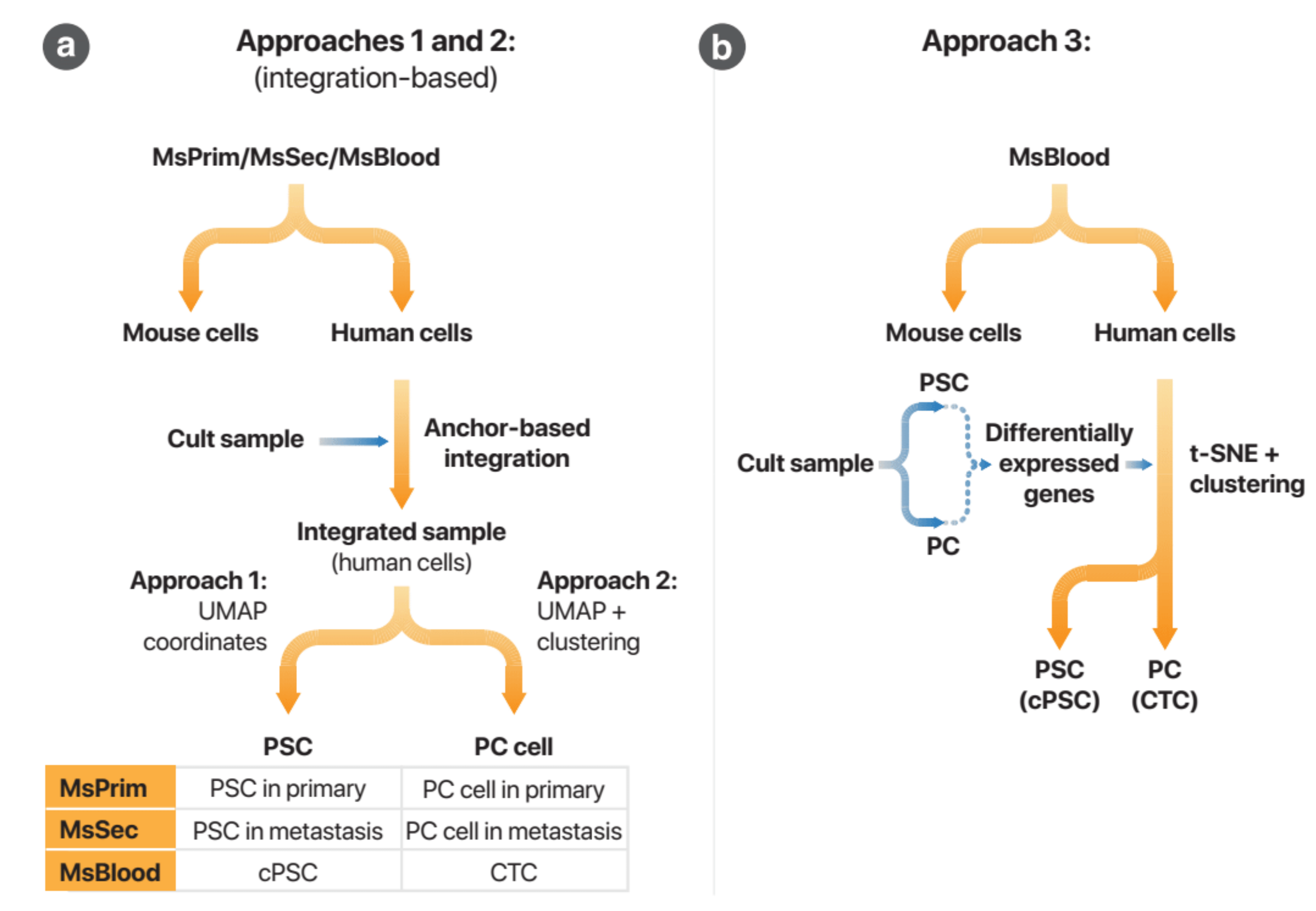 Cancers 13 02763 g0a5 Cancers 13 02763 g0a5