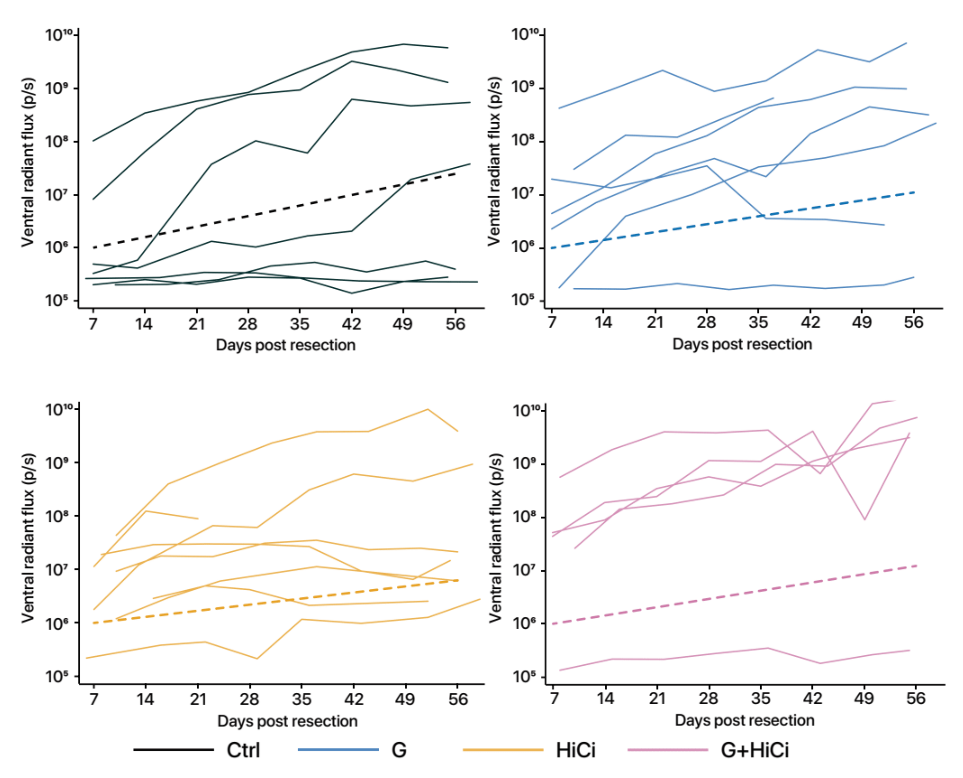 Cancers 13 02763 g0a6 Cancers 13 02763 g0a6