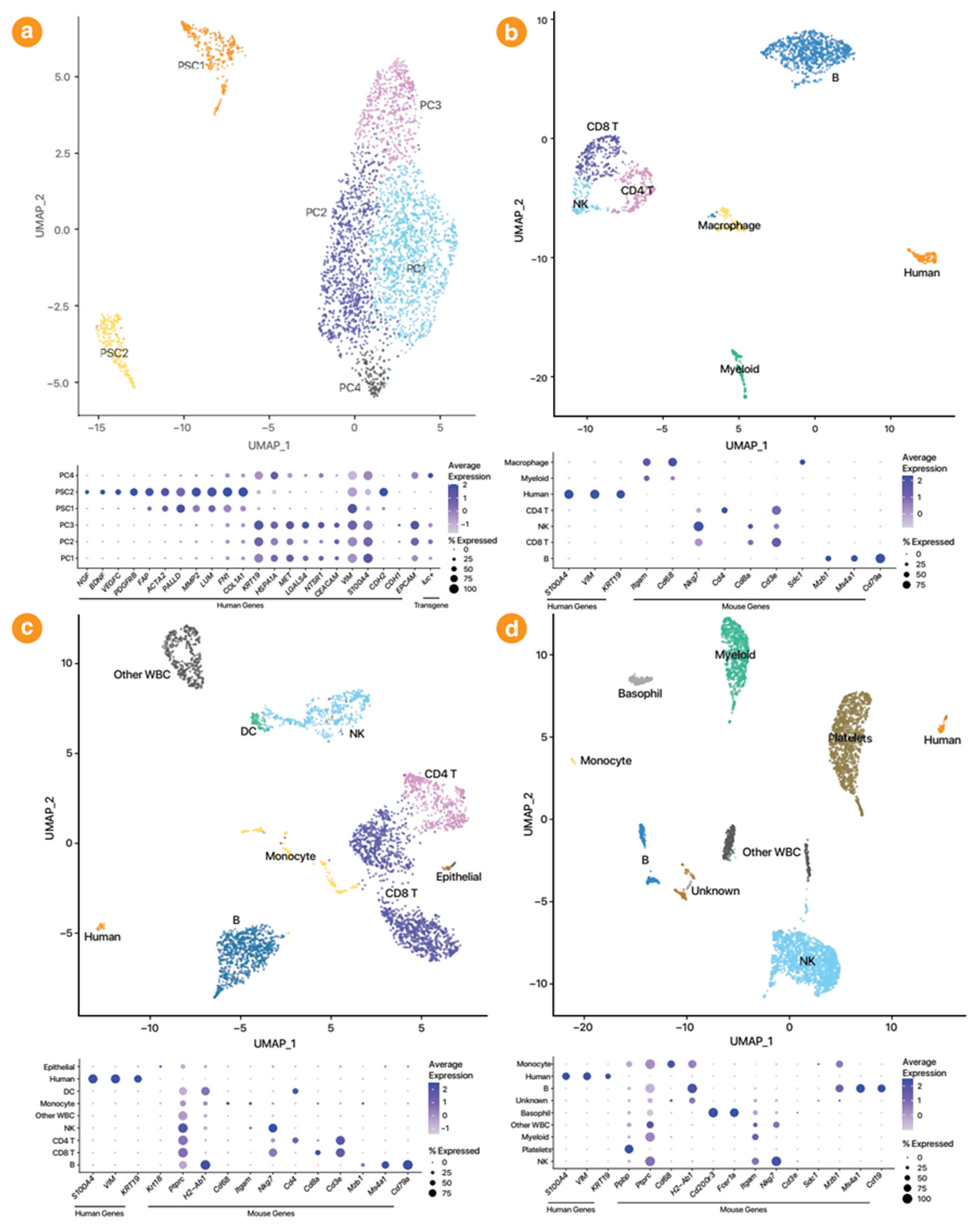 Cancers 13 02763 g0a9 Cancers 13 02763 g0a9