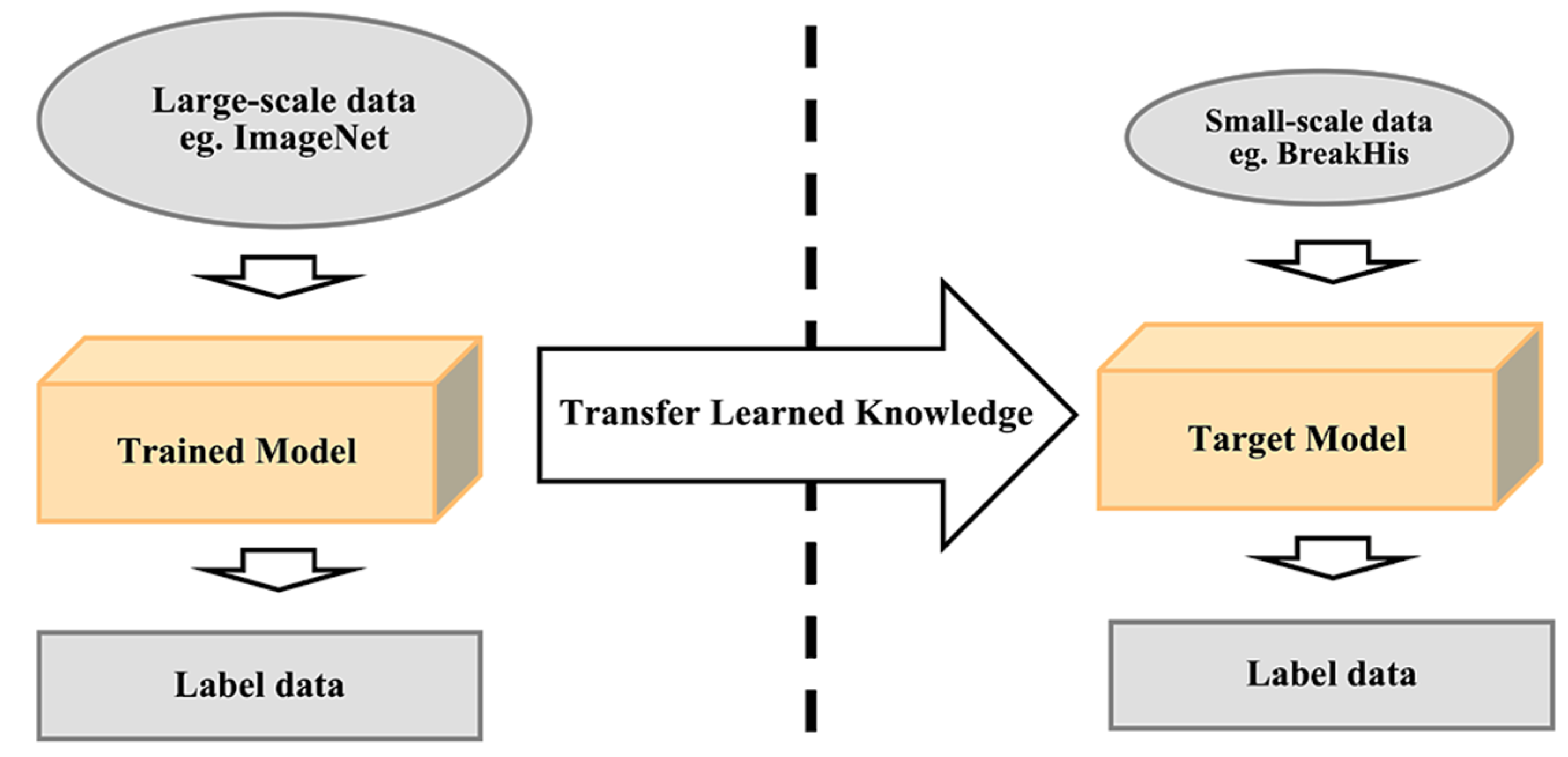 Cancers 13 02764 g014