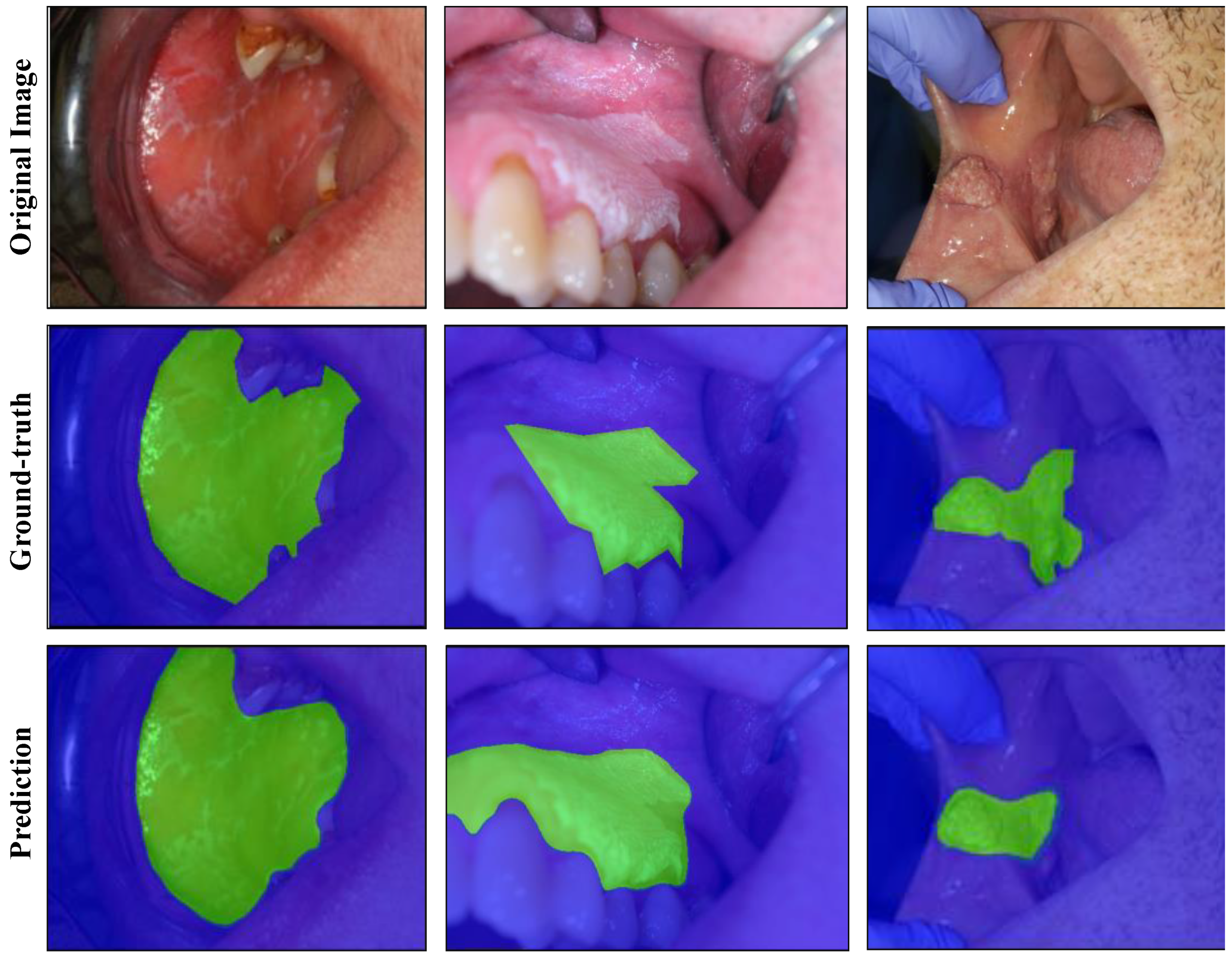 Cancers 13 02766 g002