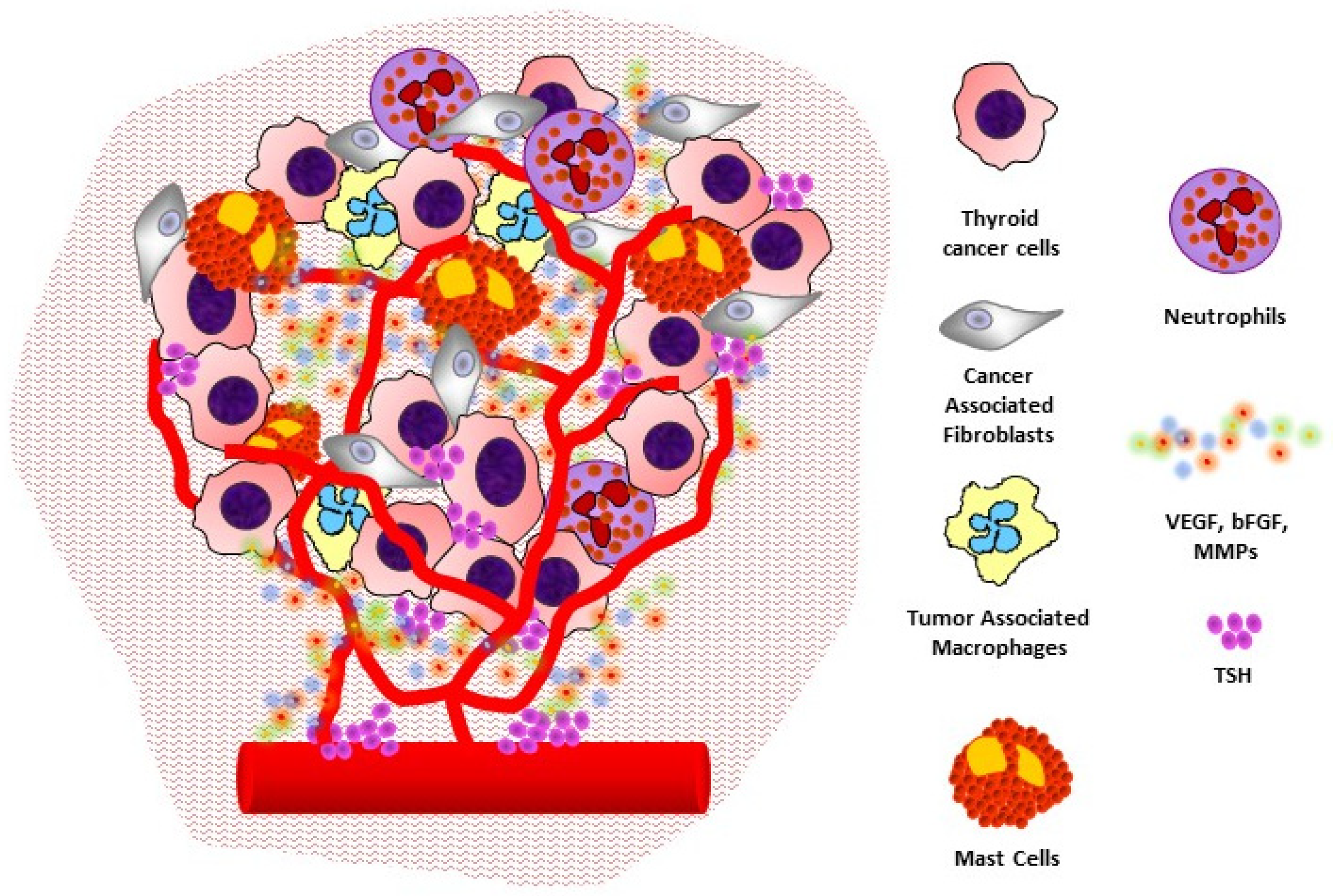 Cancers 13 02775 g001 Cancers 13 02775 g001