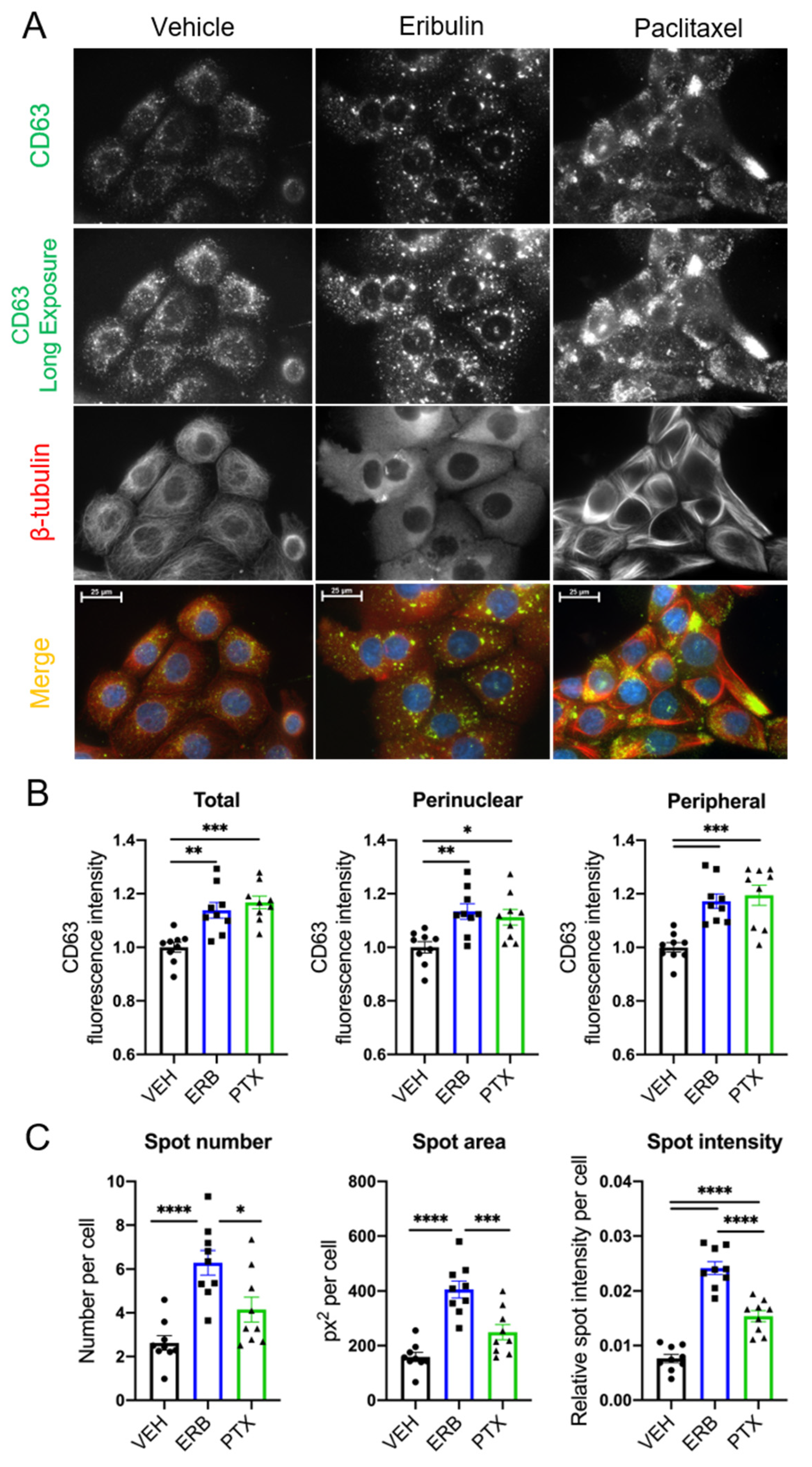 Cancers 13 02783 g001 Cancers 13 02783 g001