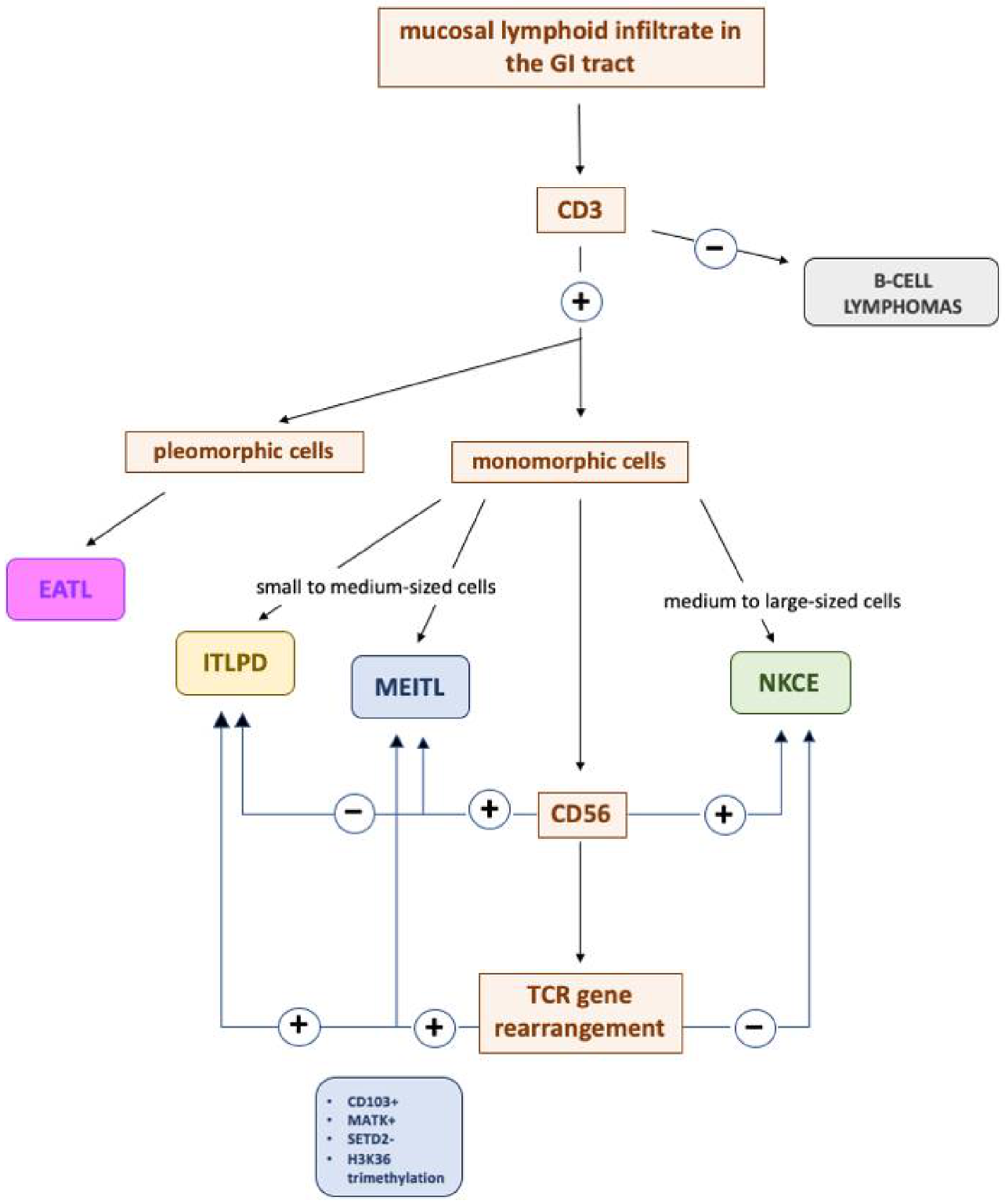 Cancers 13 02790 g004 Cancers 13 02790 g004