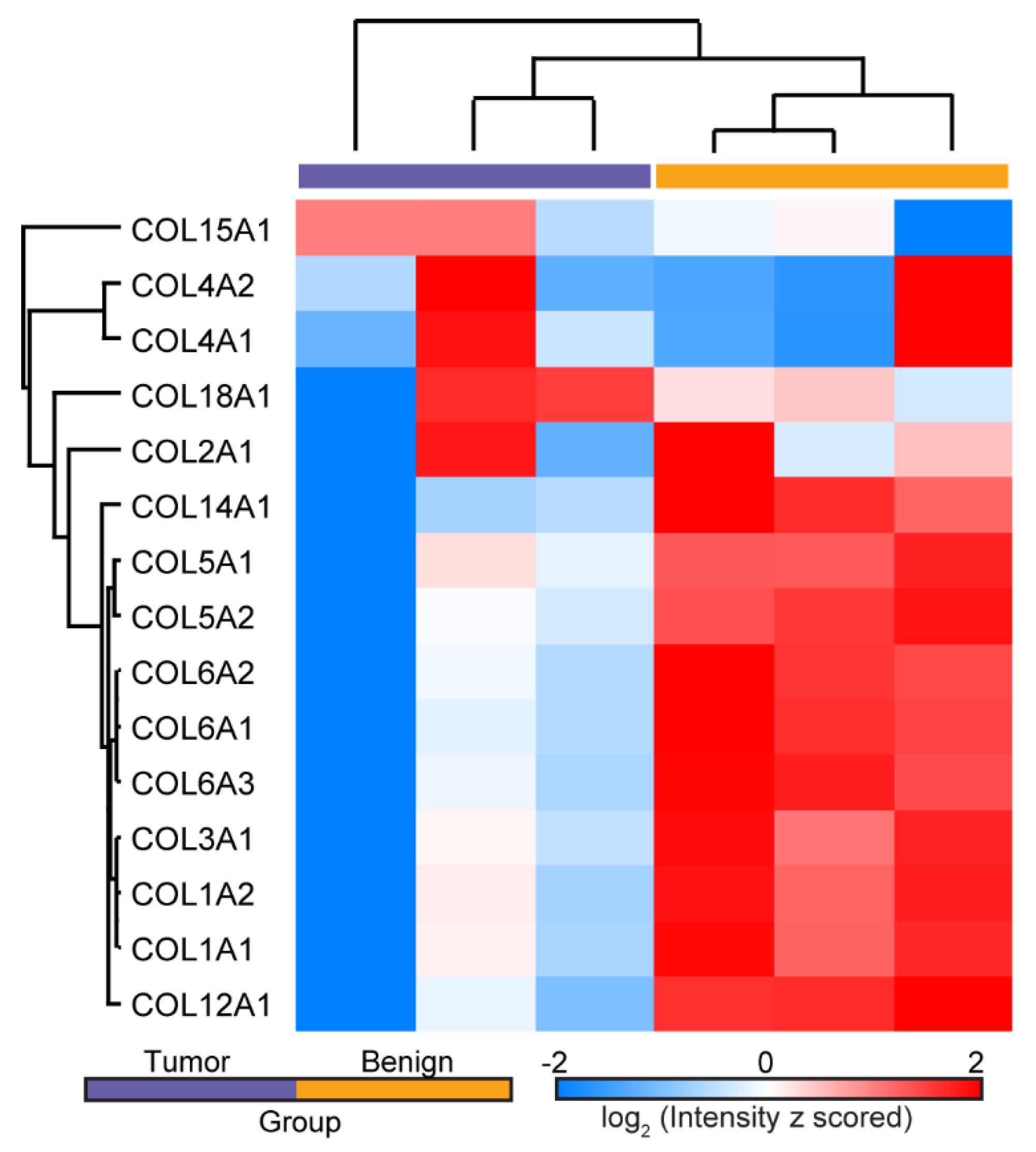 Cancers 13 02794 g001 Cancers 13 02794 g001