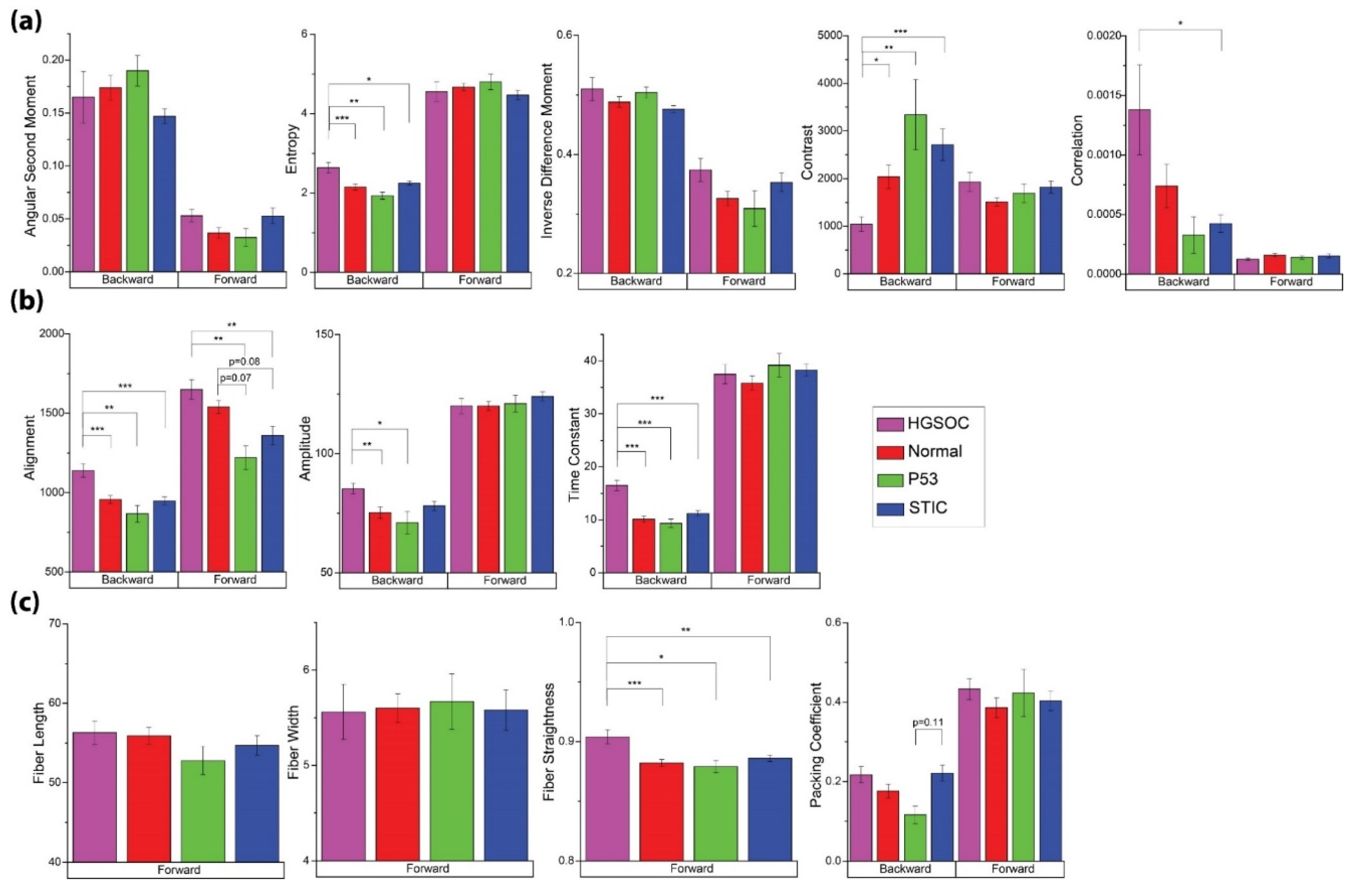 Cancers 13 02794 g004 Cancers 13 02794 g004