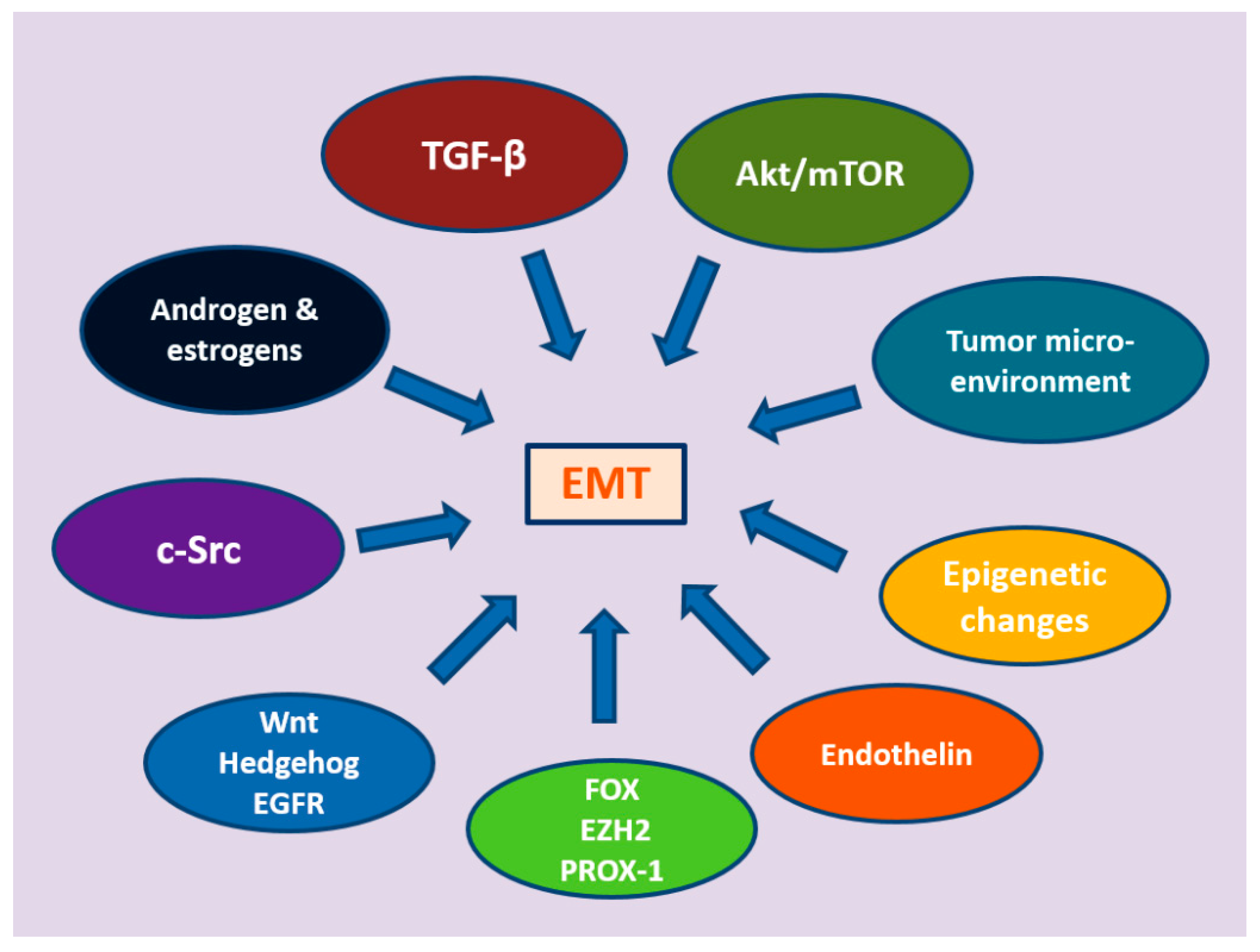 Cancers 13 02795 g002 Cancers 13 02795 g002