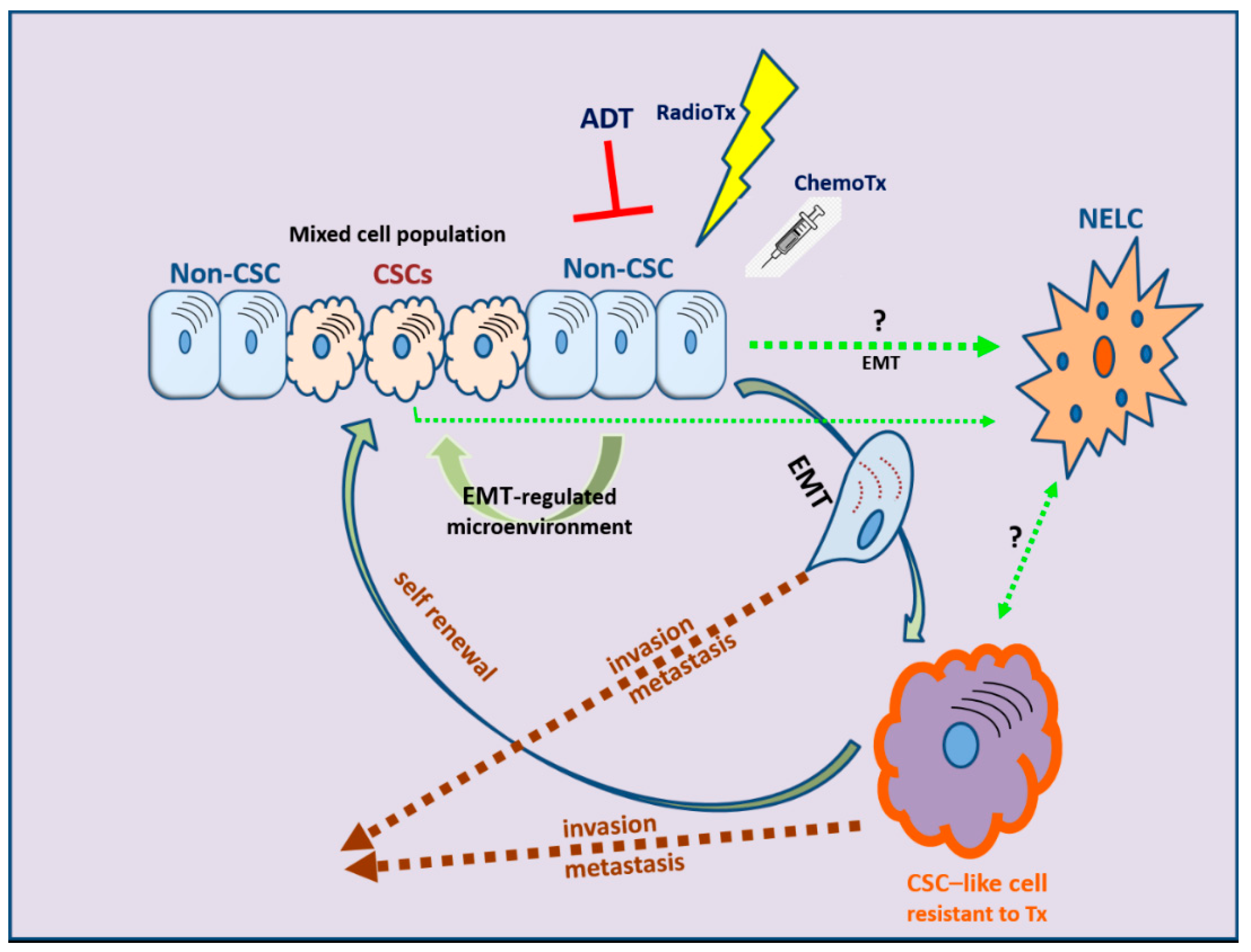 Cancers 13 02795 g003 Cancers 13 02795 g003