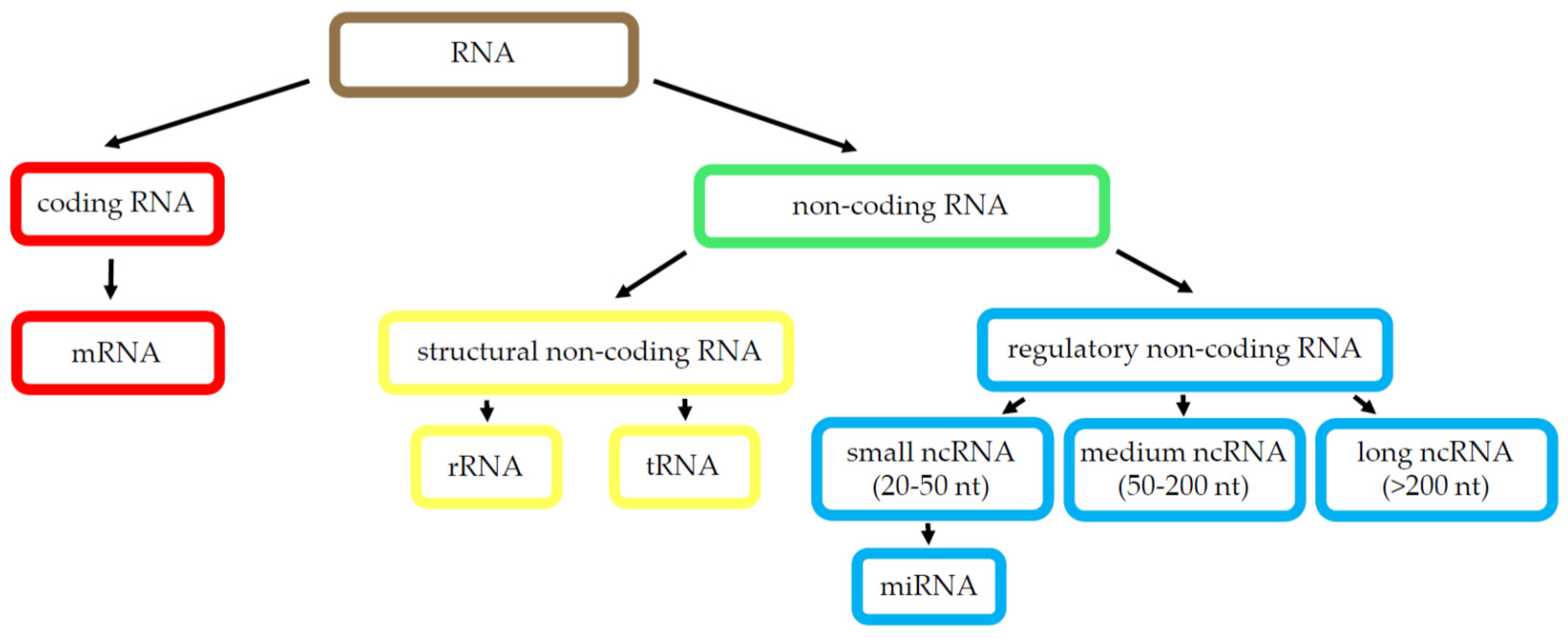 Cancers 13 02798 g002 Cancers 13 02798 g002