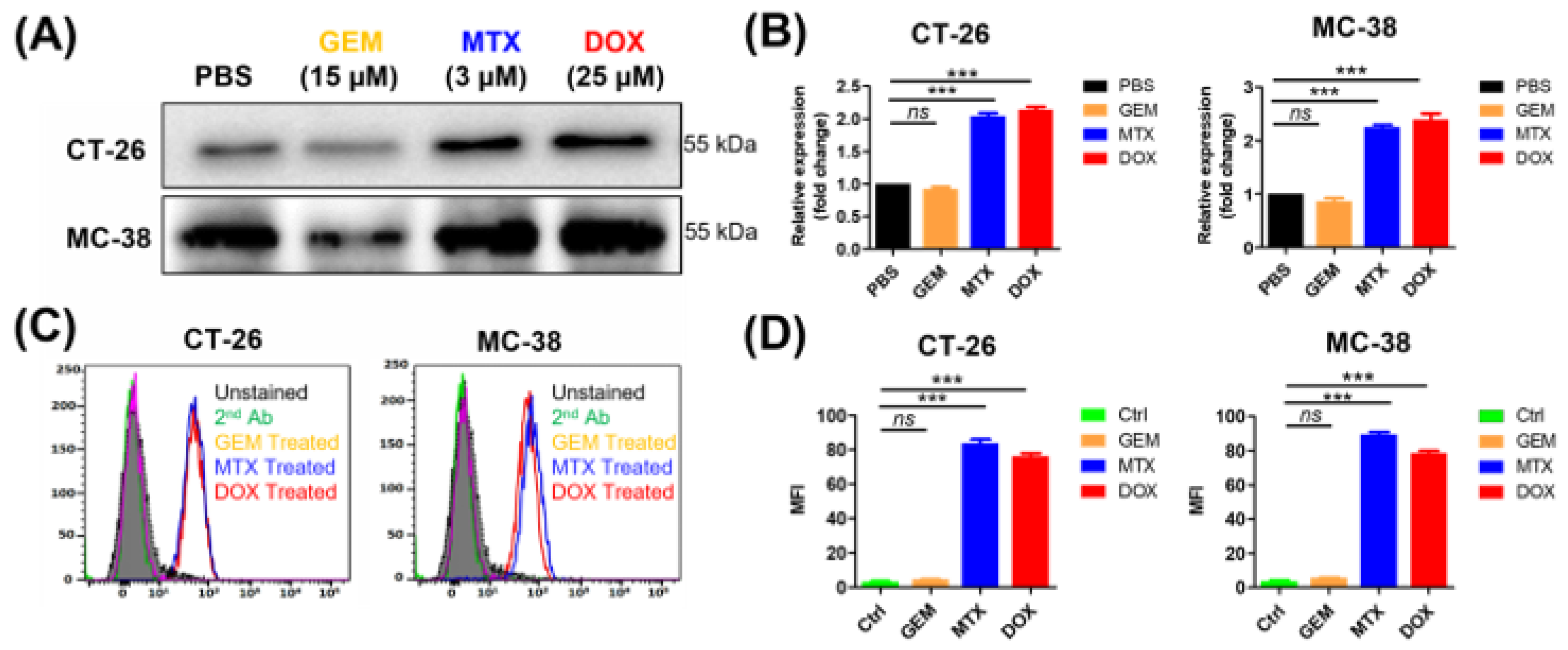 Cancers 13 02801 g001 Cancers 13 02801 g001