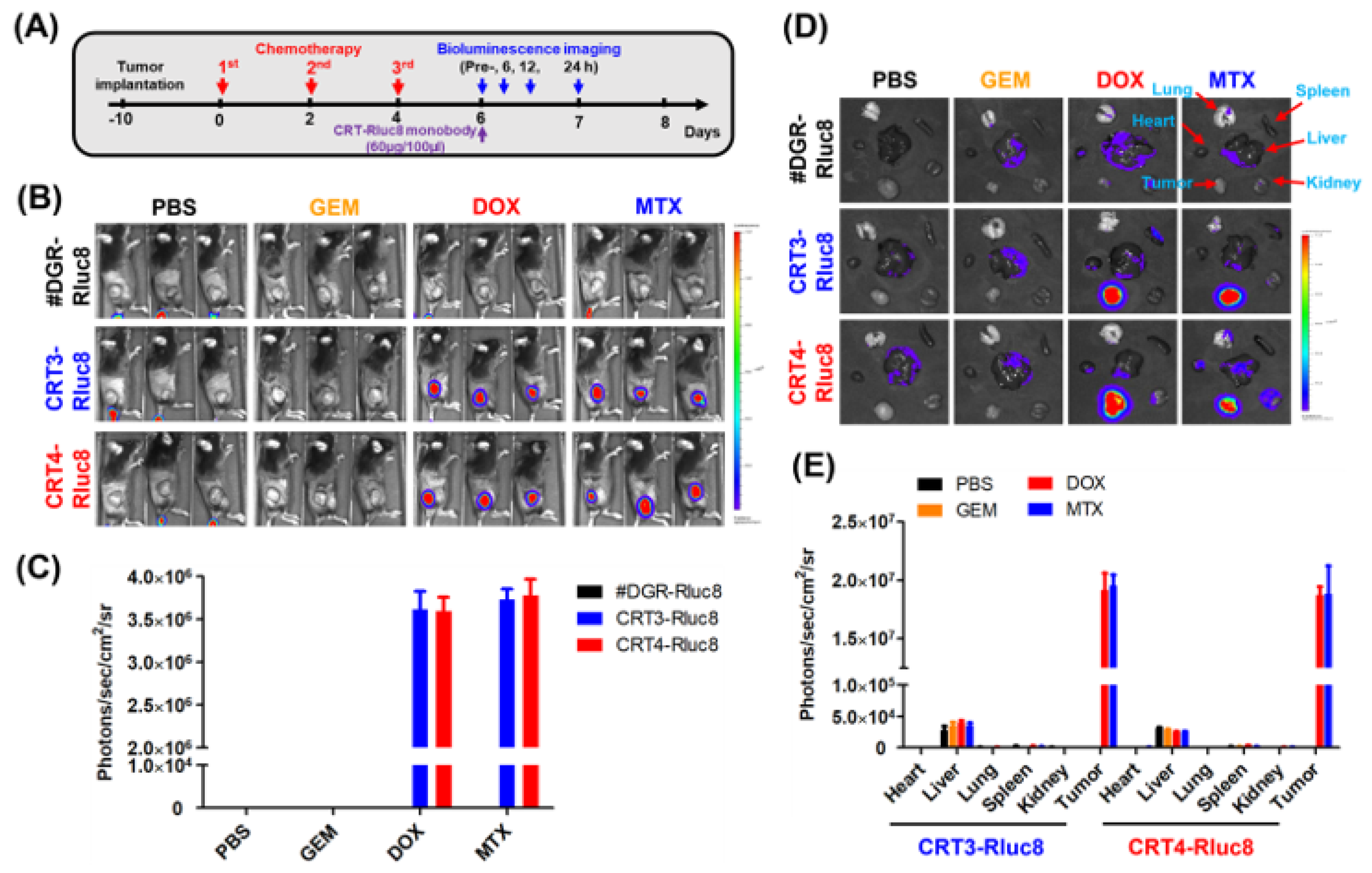 Cancers 13 02801 g008 Cancers 13 02801 g008