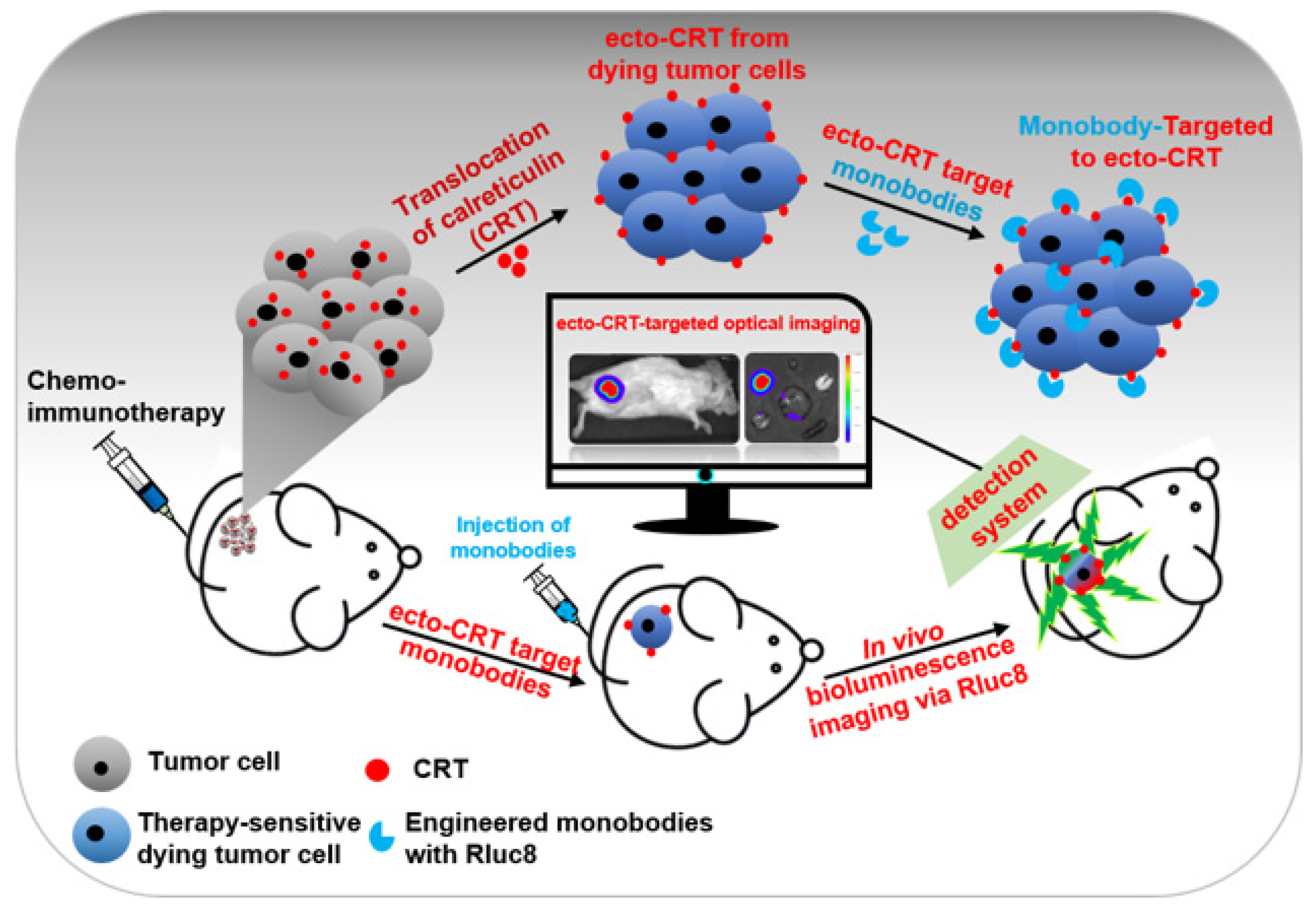 Cancers 13 02801 sch001 Cancers 13 02801 sch001