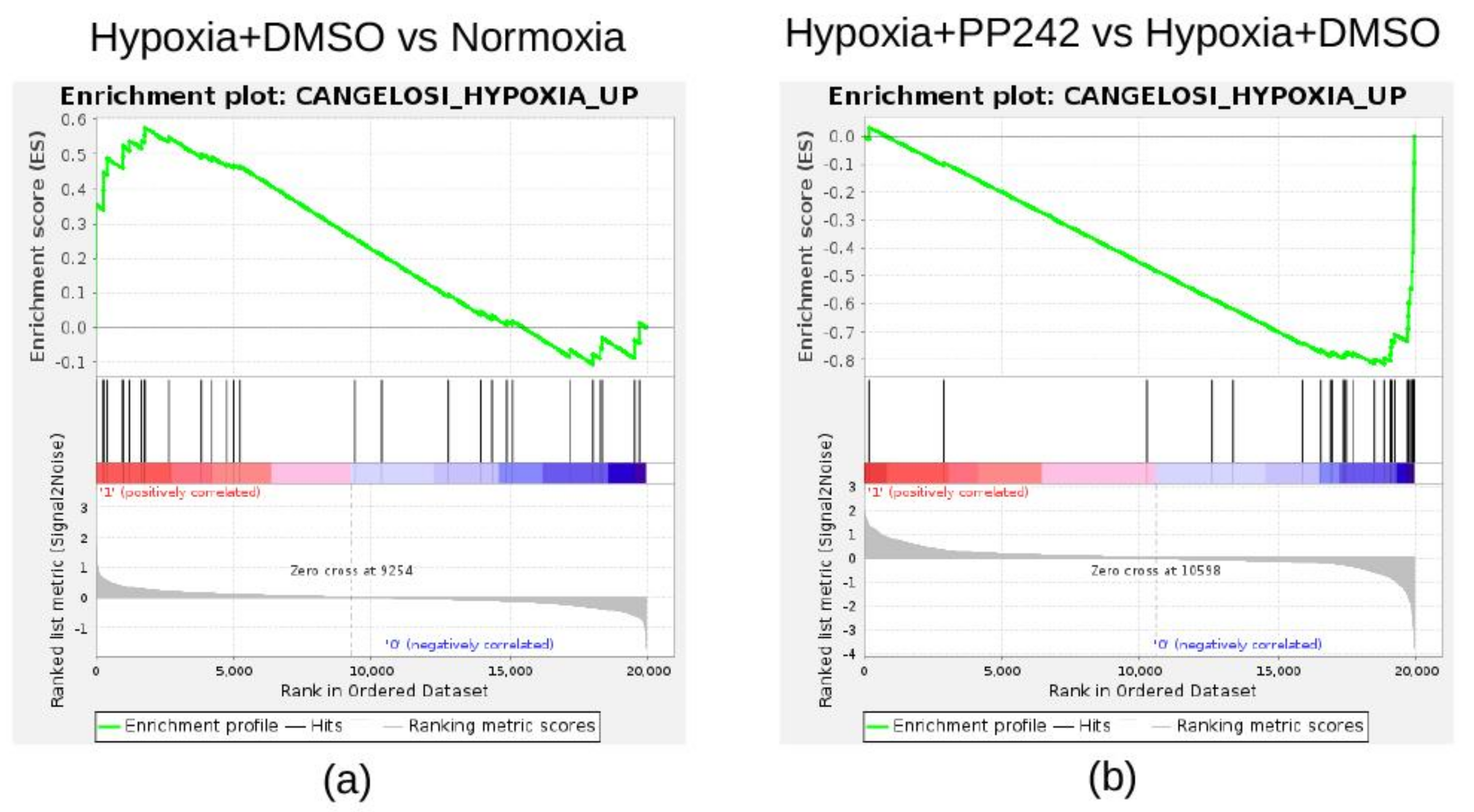 Cancers 13 02809 g006
