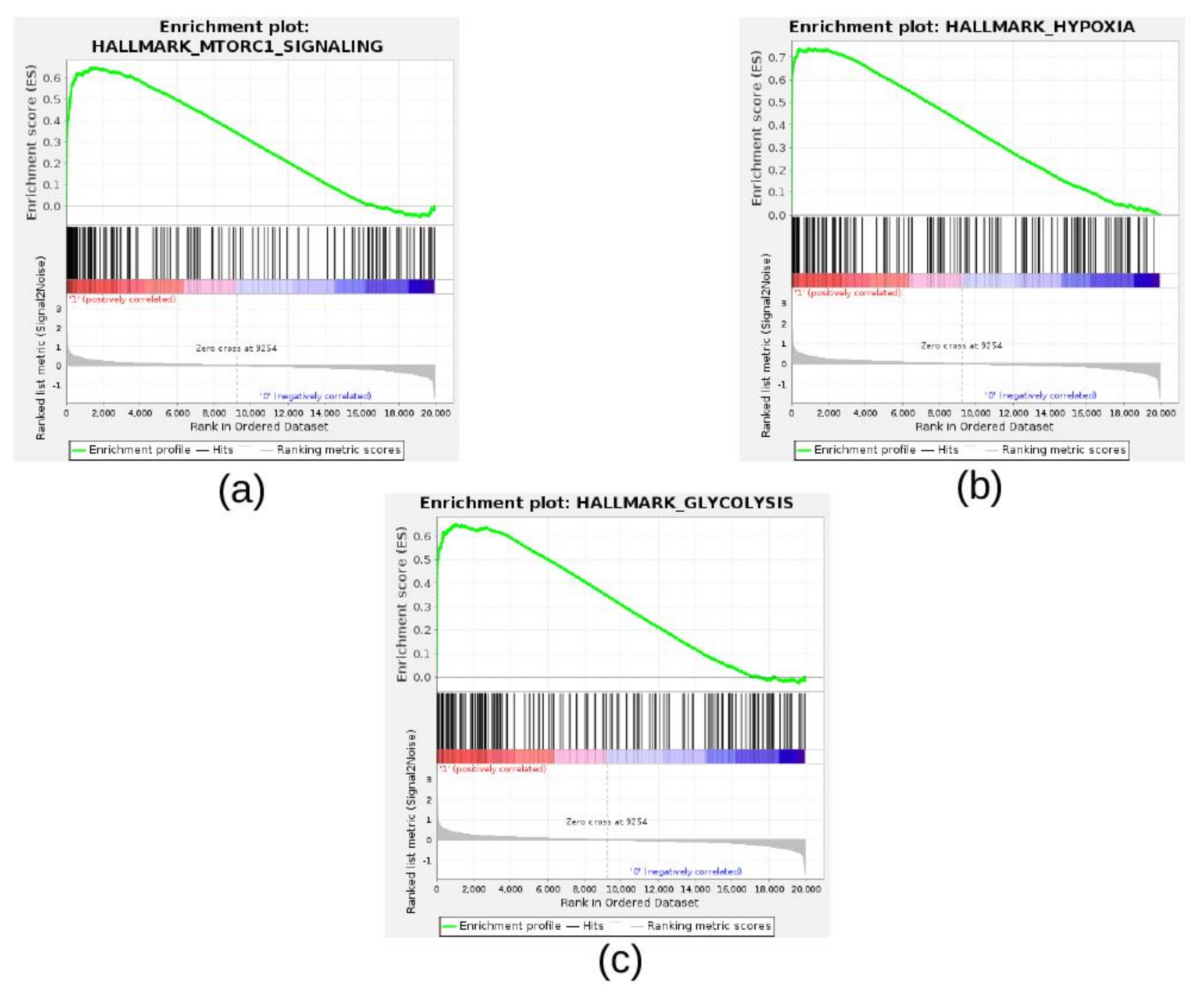 Cancers 13 02809 g007
