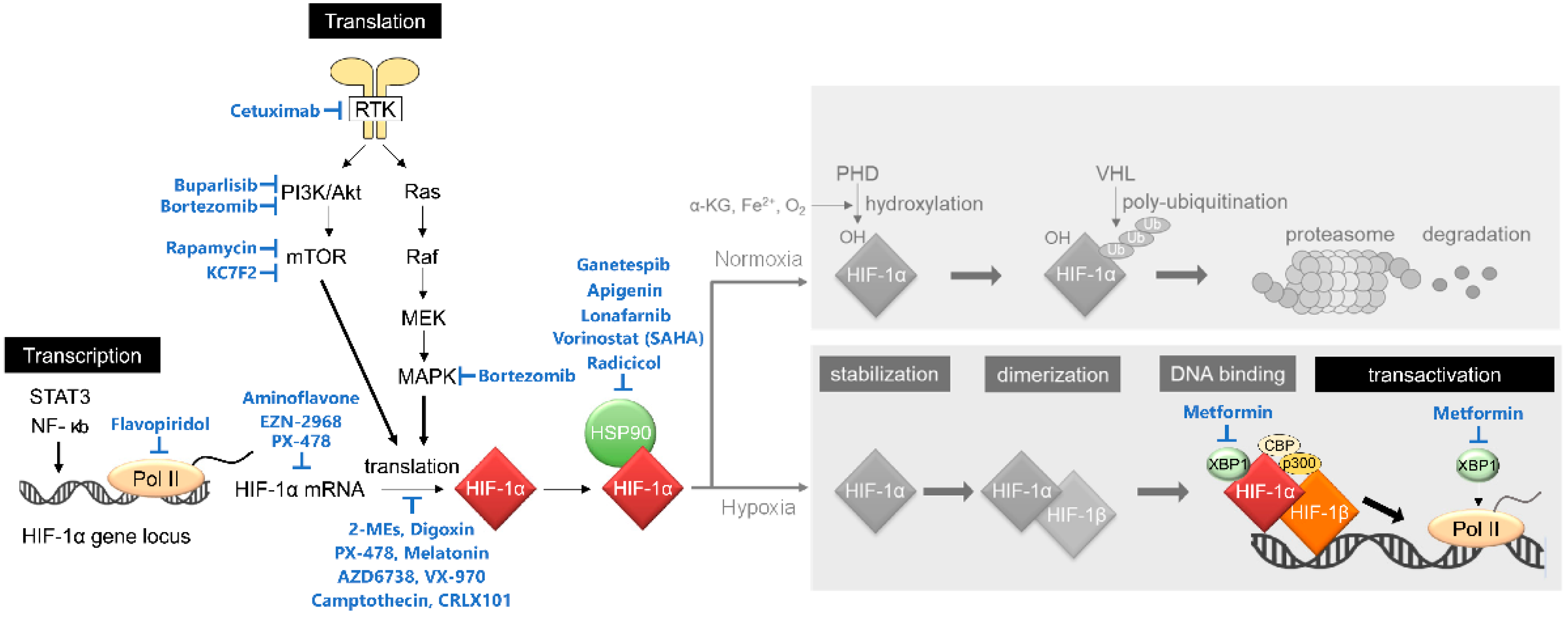 An Overview of the Recent Development of Anticancer Agents