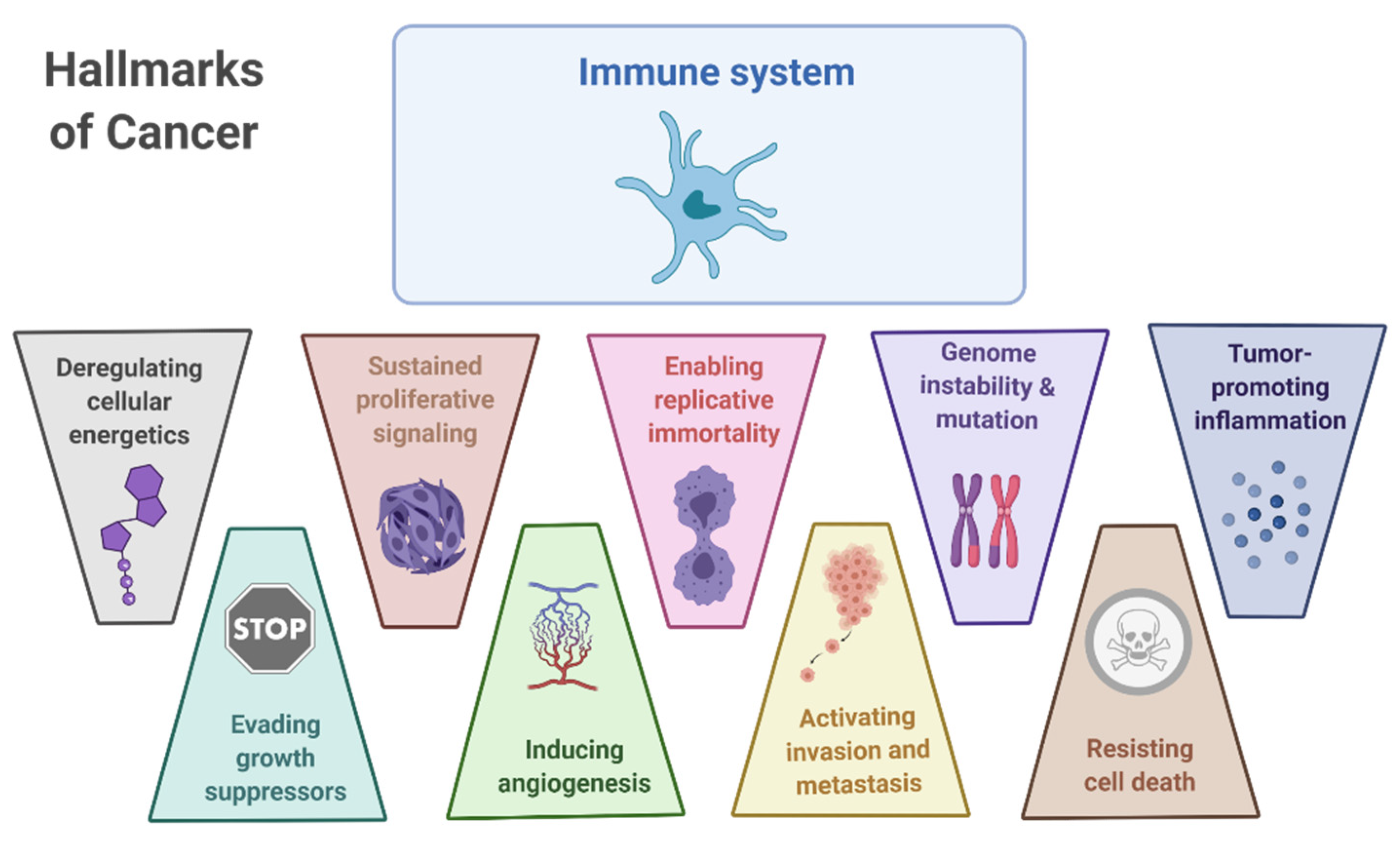Cancers 13 02821 g001 Cancers 13 02821 g001