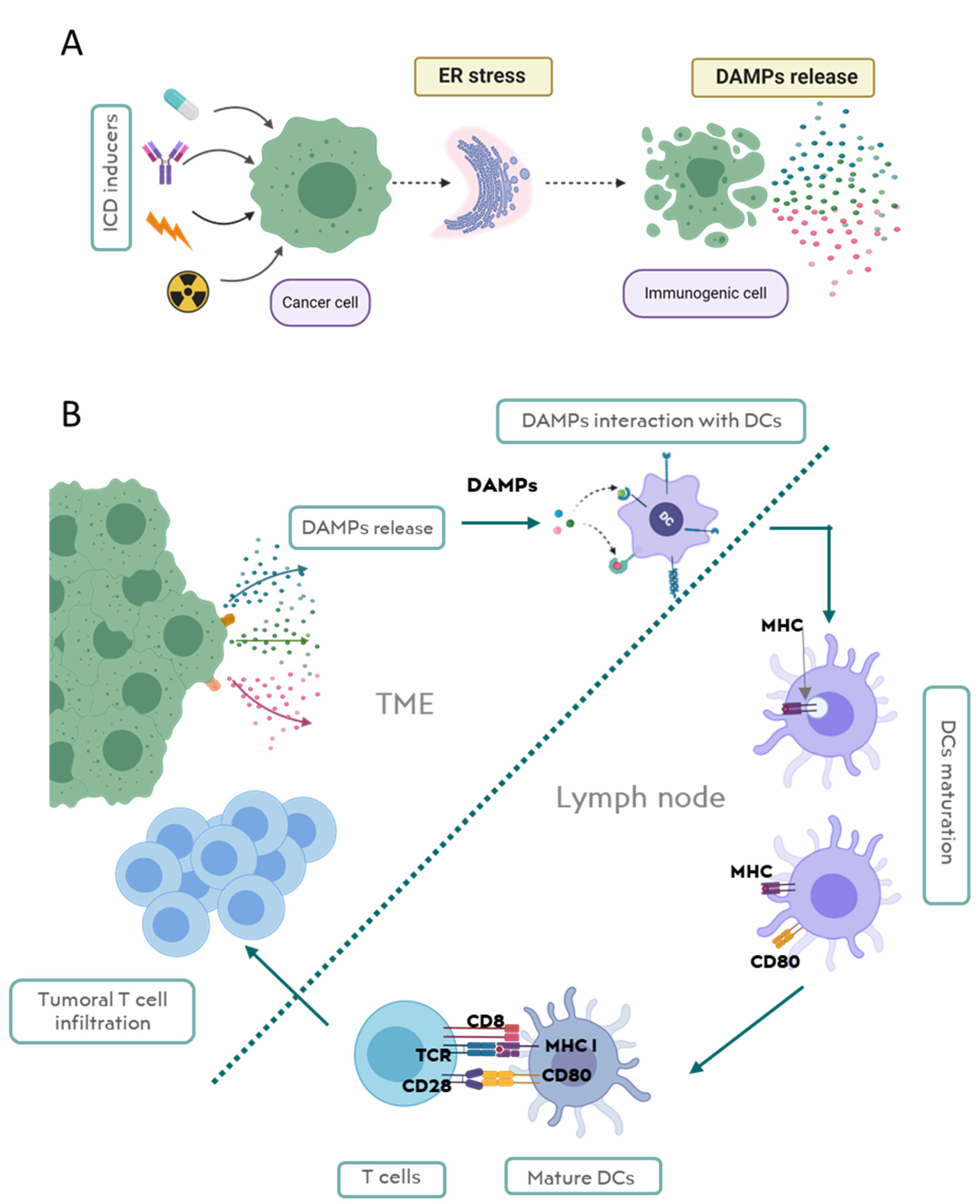 Cancers Free Full Text Restoring The Immunity In The Tumor Microenvironment Insights Into Immunogenic Cell Death In Onco Therapies Html