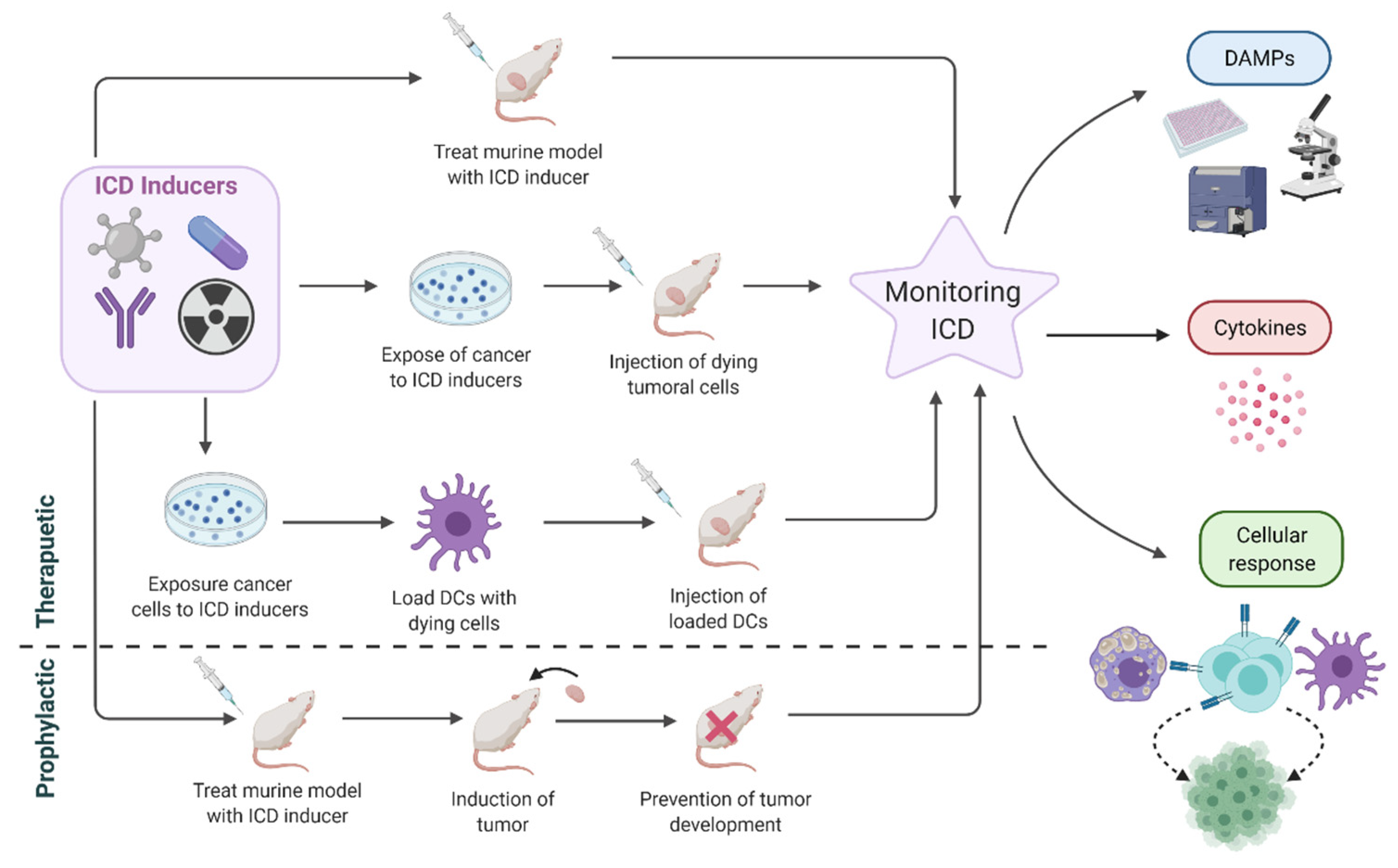 Cancers 13 02821 g009 Cancers 13 02821 g009