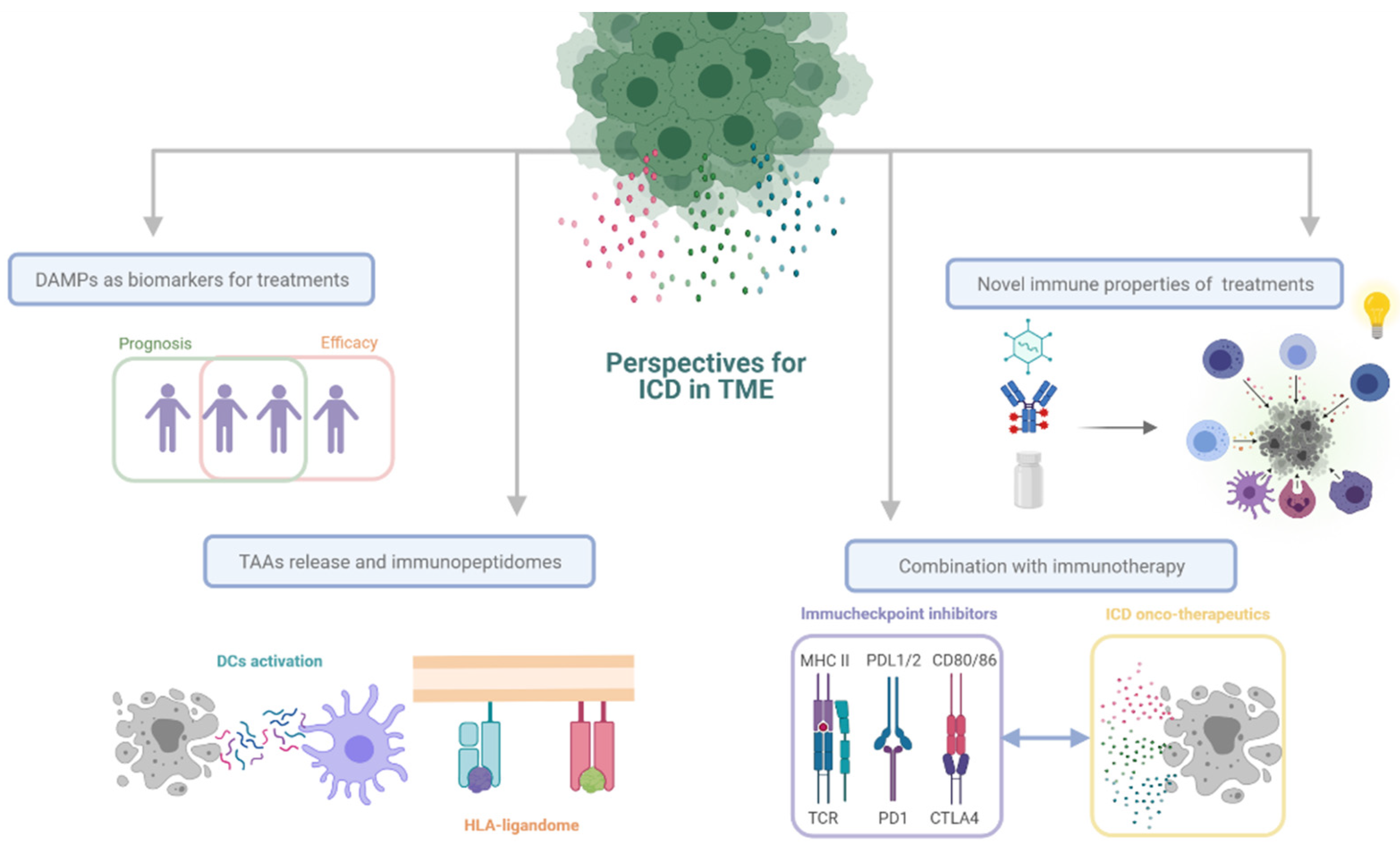Cancers 13 02821 g010 Cancers 13 02821 g010
