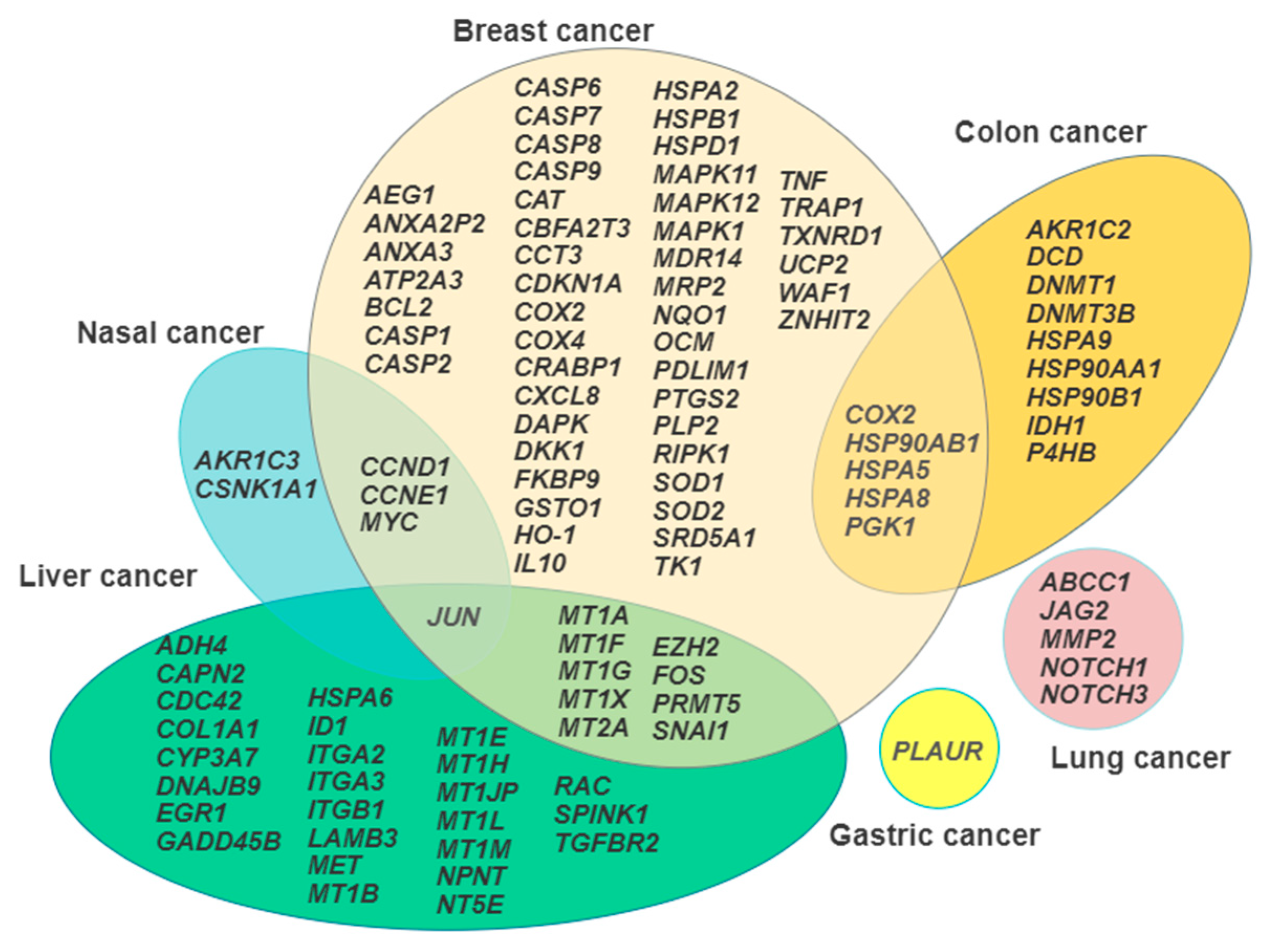 Cancers 13 02823 g001