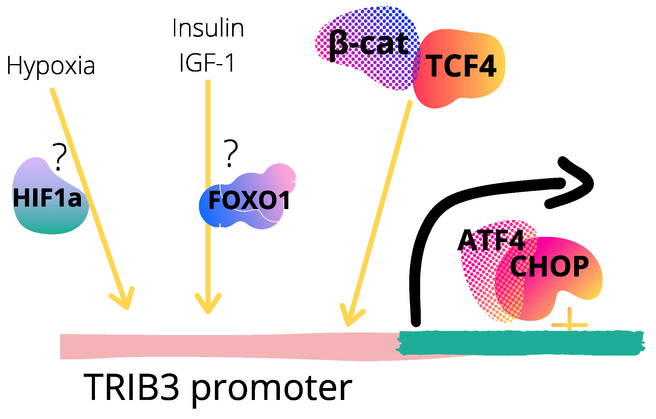 Cancers Free Full Text Tribbles Pseudokinases In Colorectal Cancer Html Cancers Free Full Text Tribbles Pseudokinases In Colorectal Cancer Html