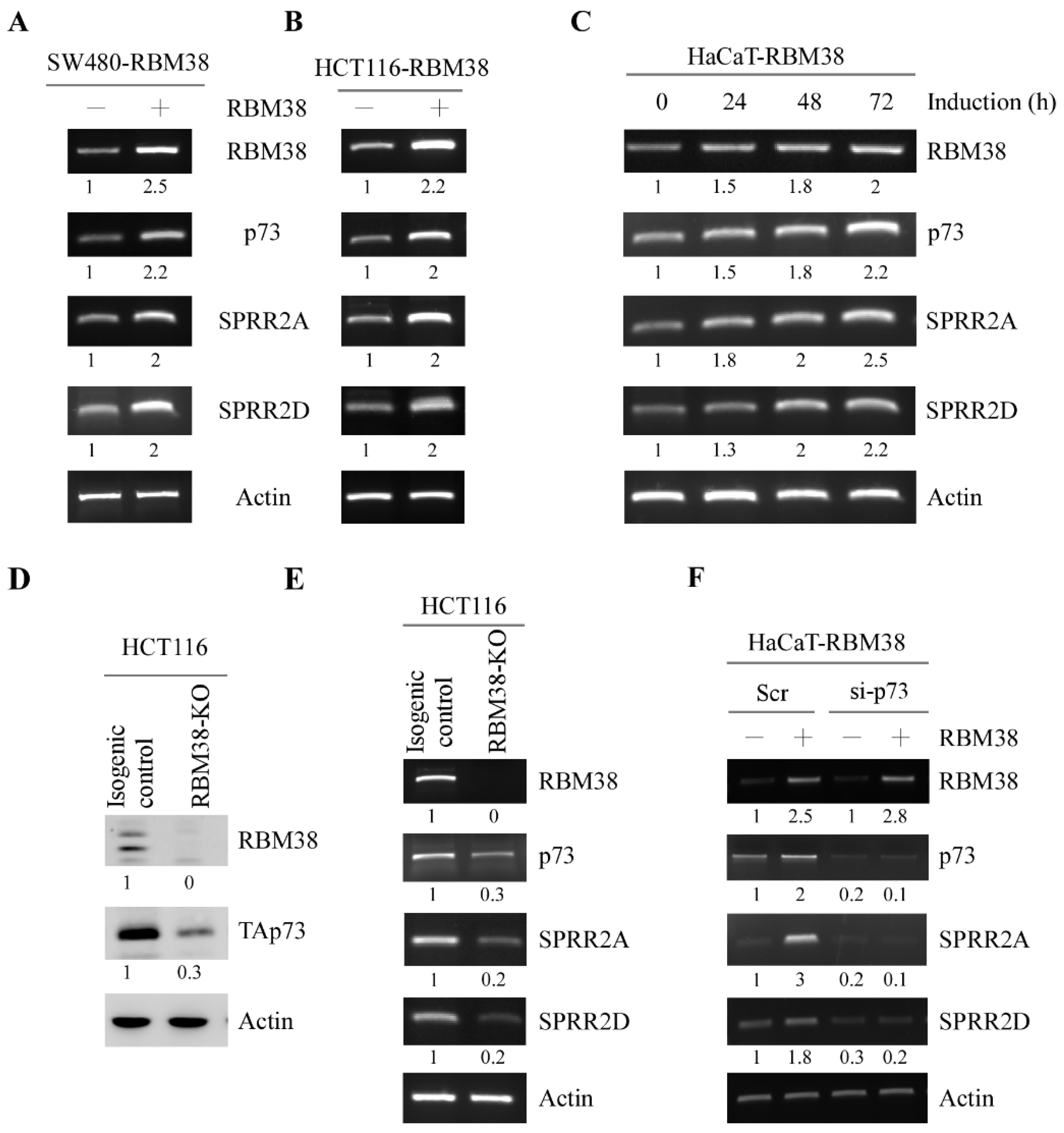 Cancers 13 02829 g001 Cancers 13 02829 g001