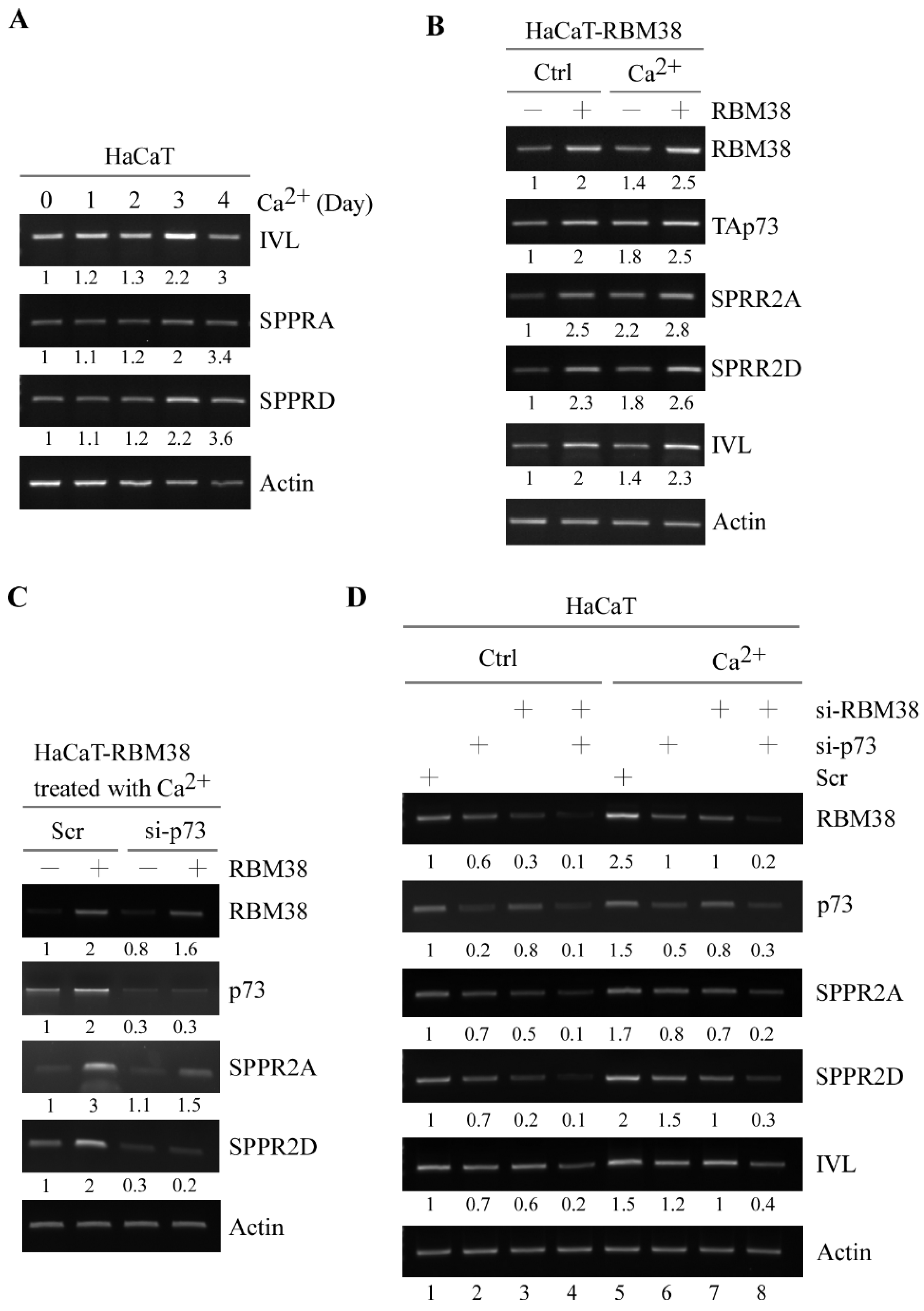 Cancers 13 02829 g003 Cancers 13 02829 g003