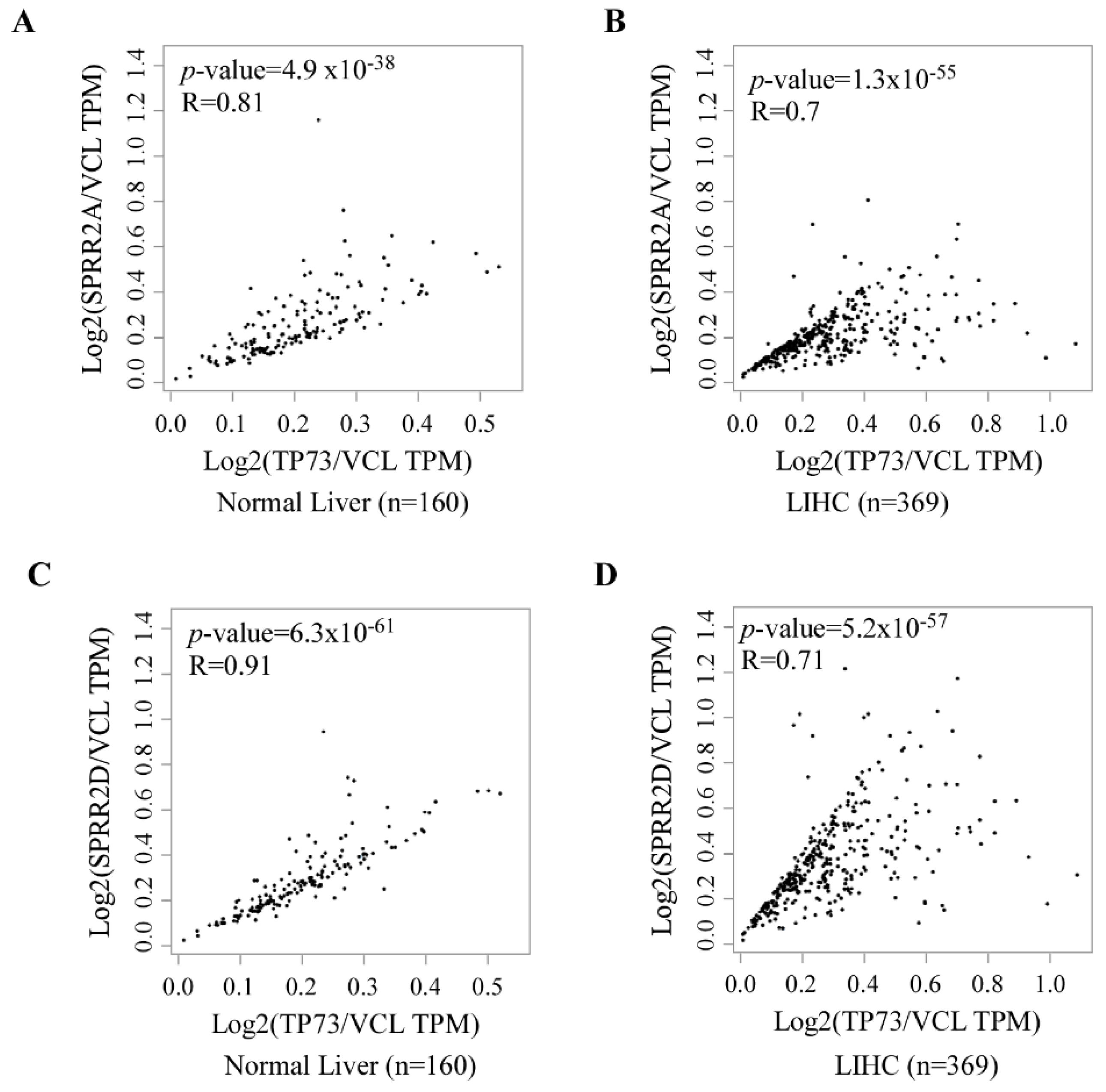 Cancers 13 02829 g004 Cancers 13 02829 g004