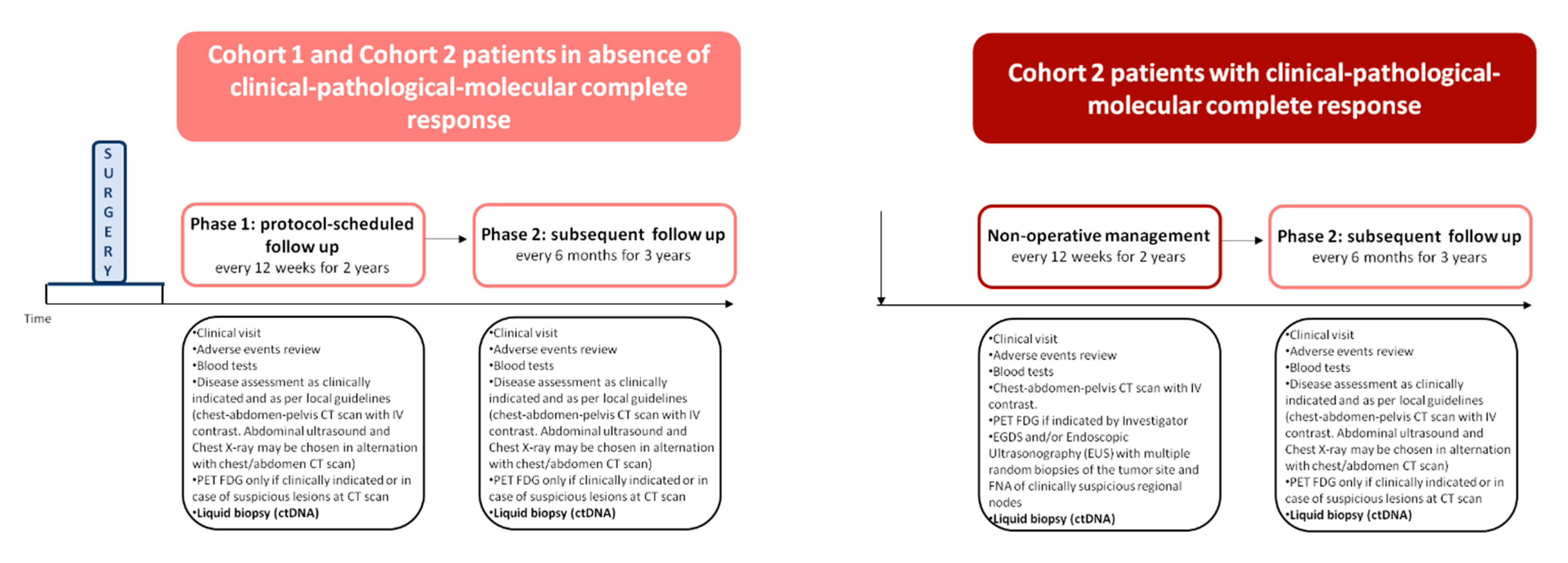 Cancers 13 02839 g002 Cancers 13 02839 g002