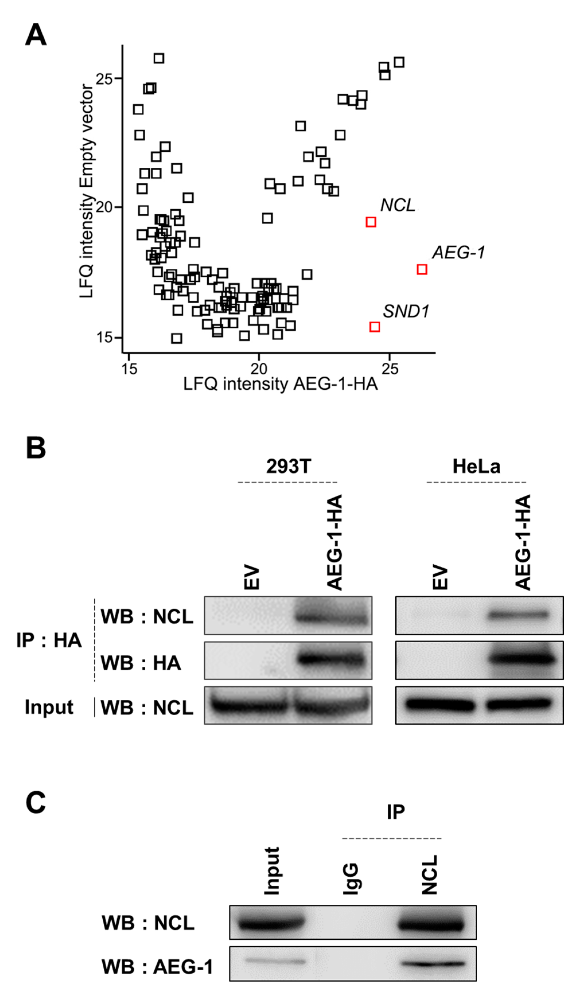 Cancers 13 02842 g001 Cancers 13 02842 g001