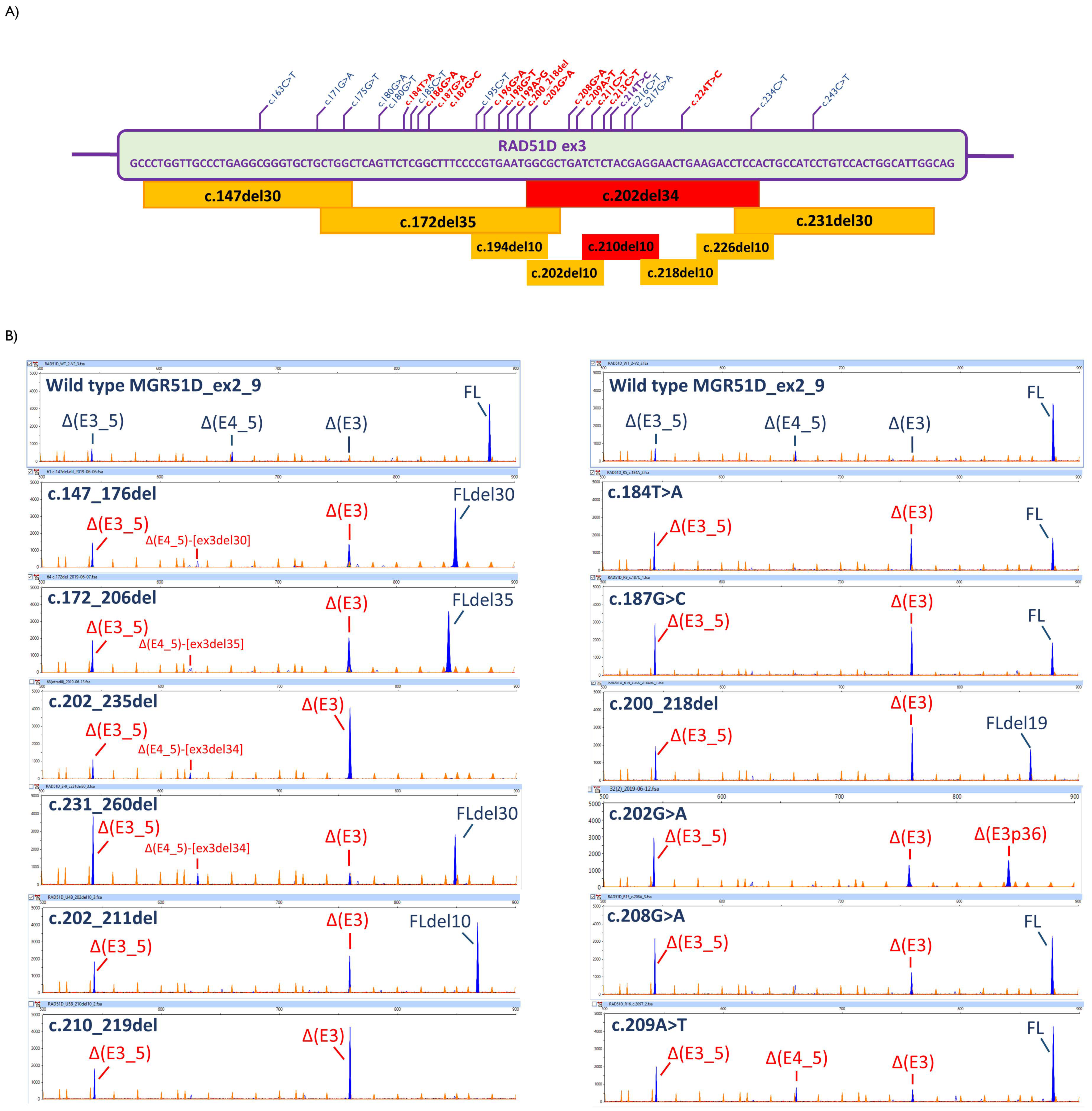 Cancers 13 02845 g002