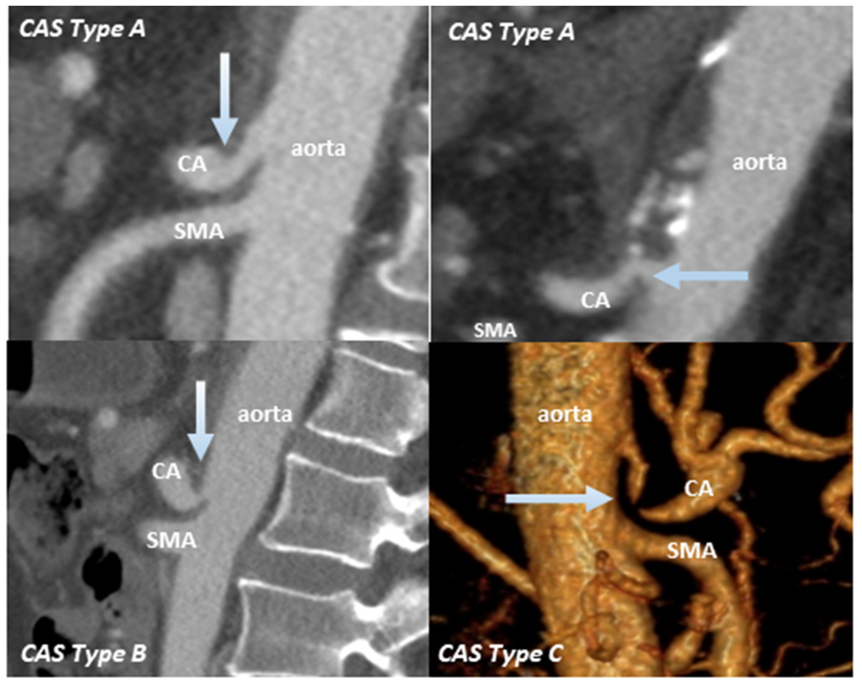 Cancers 13 02846 g002 Cancers 13 02846 g002