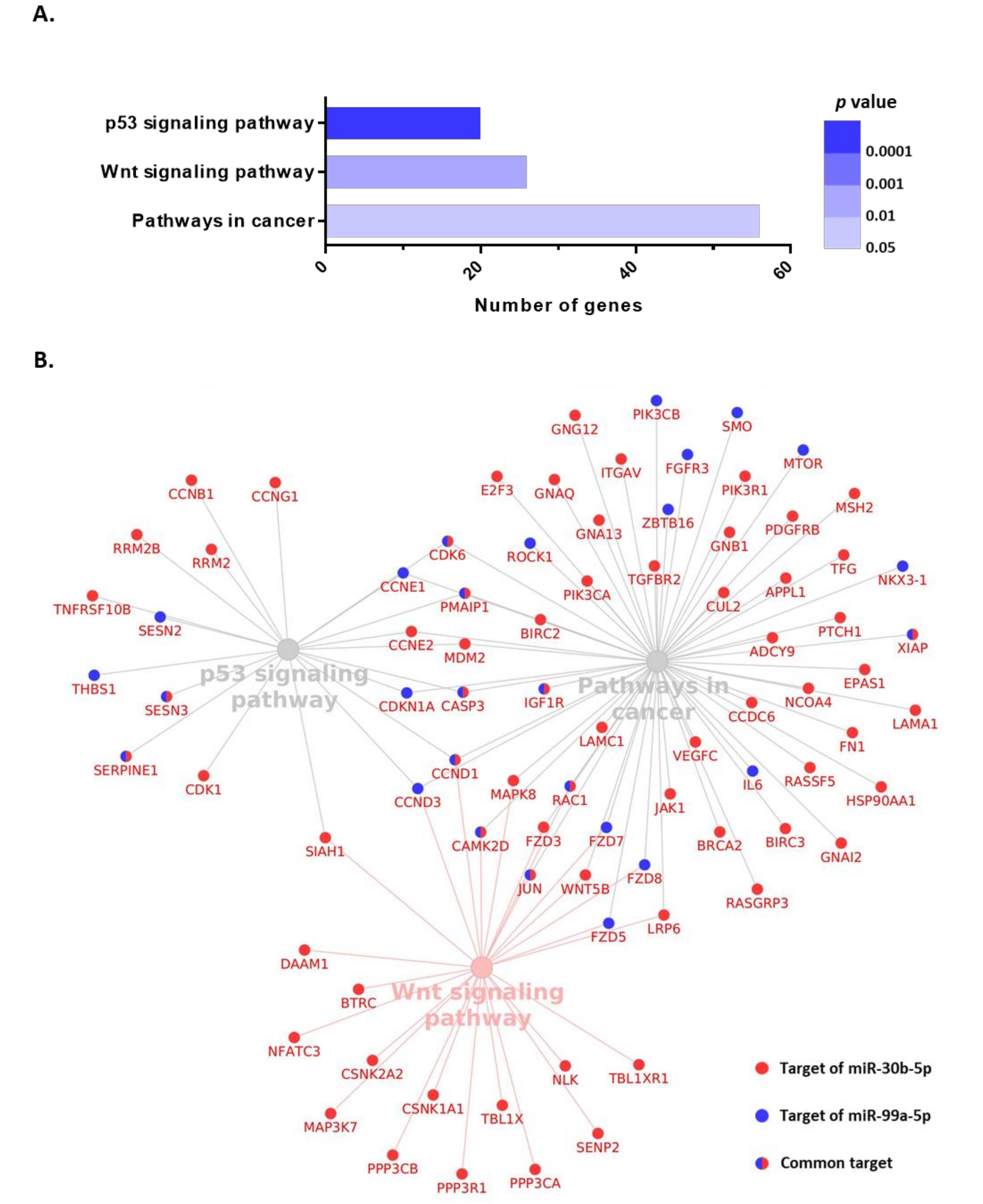 Cancers 13 02848 g006 Cancers 13 02848 g006