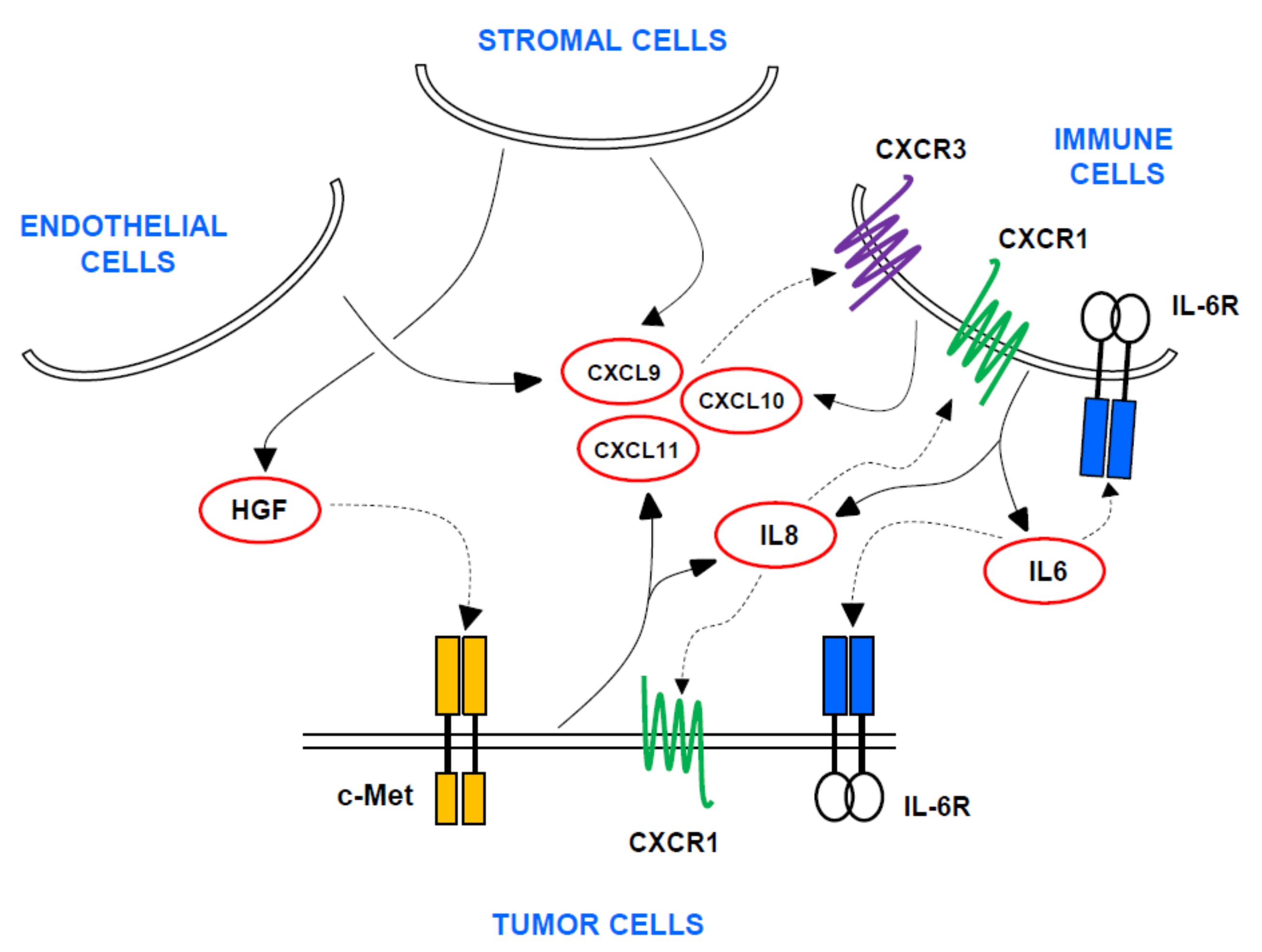 Cancers 13 02849 g001 Cancers 13 02849 g001