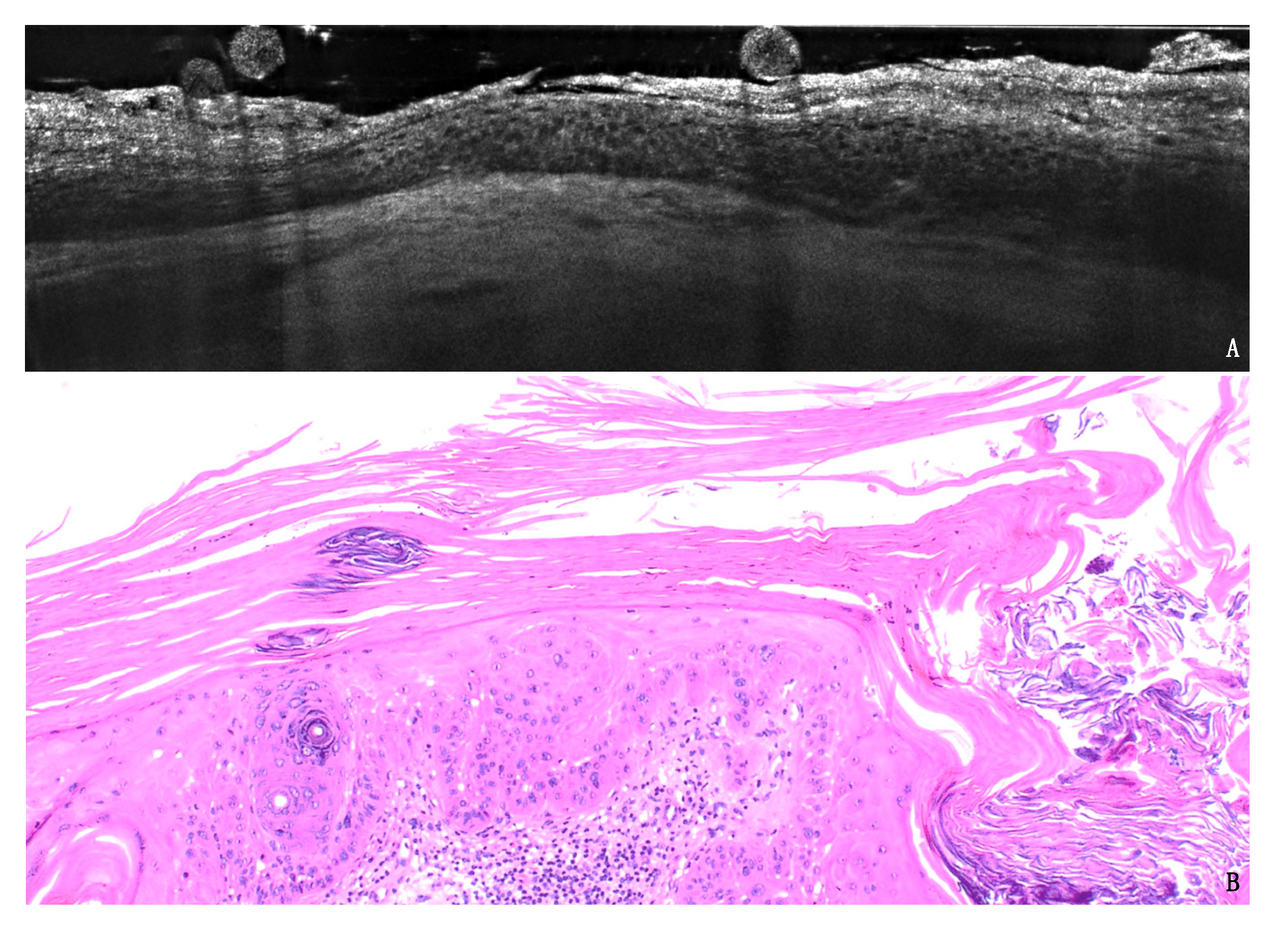 Cancers 13 02856 g002