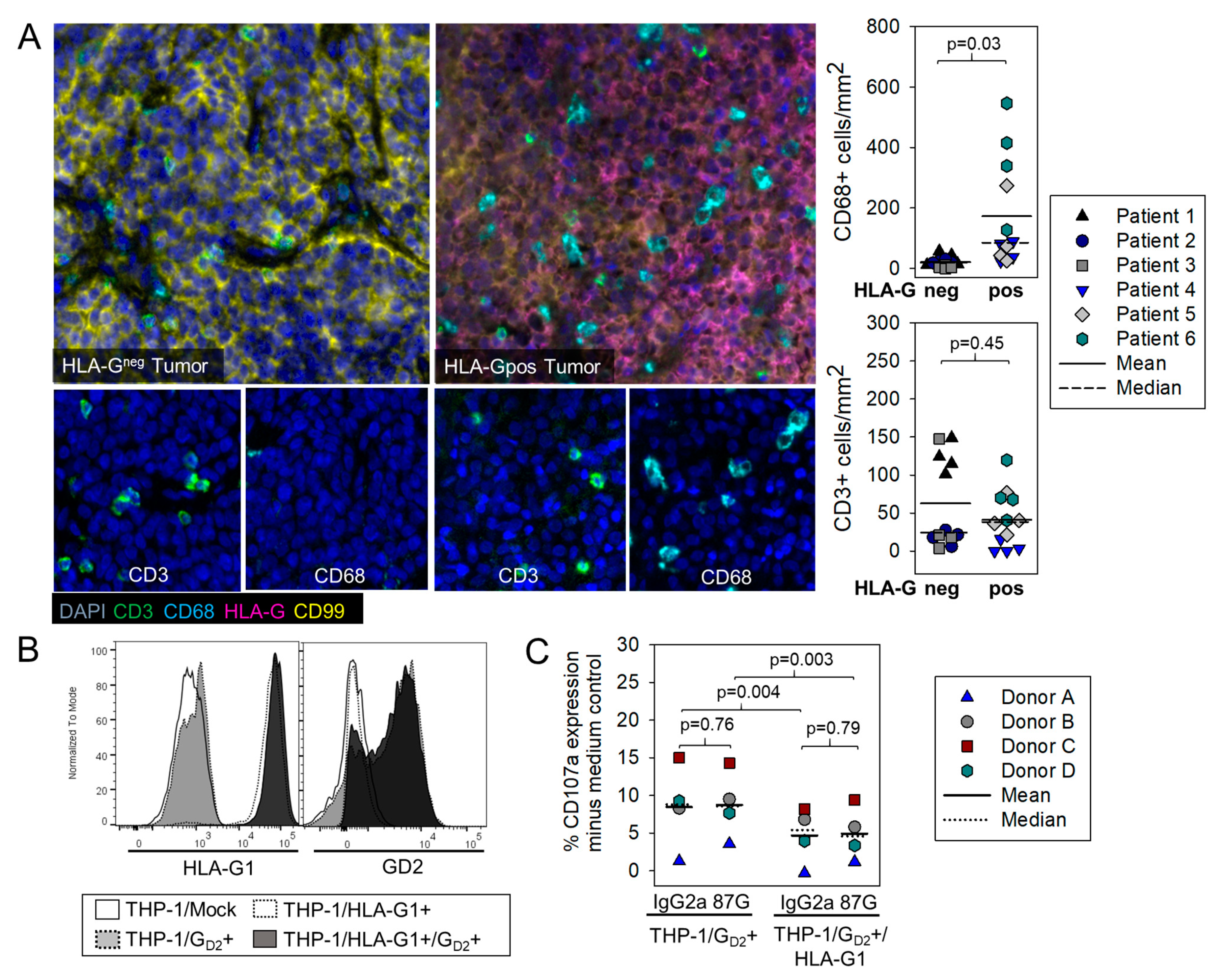 Cancers 13 02857 g003 Cancers 13 02857 g003