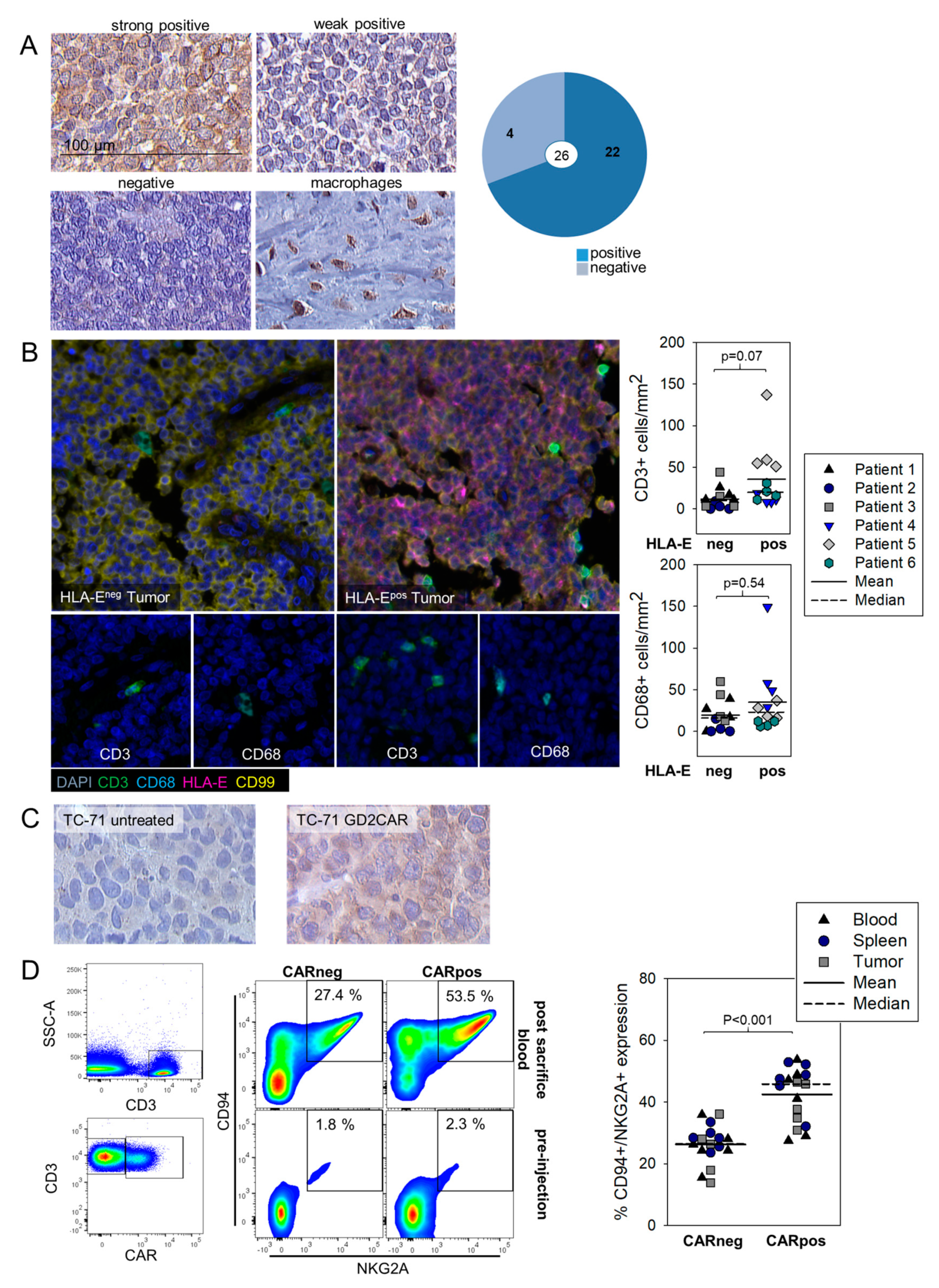Cancers 13 02857 g004 Cancers 13 02857 g004